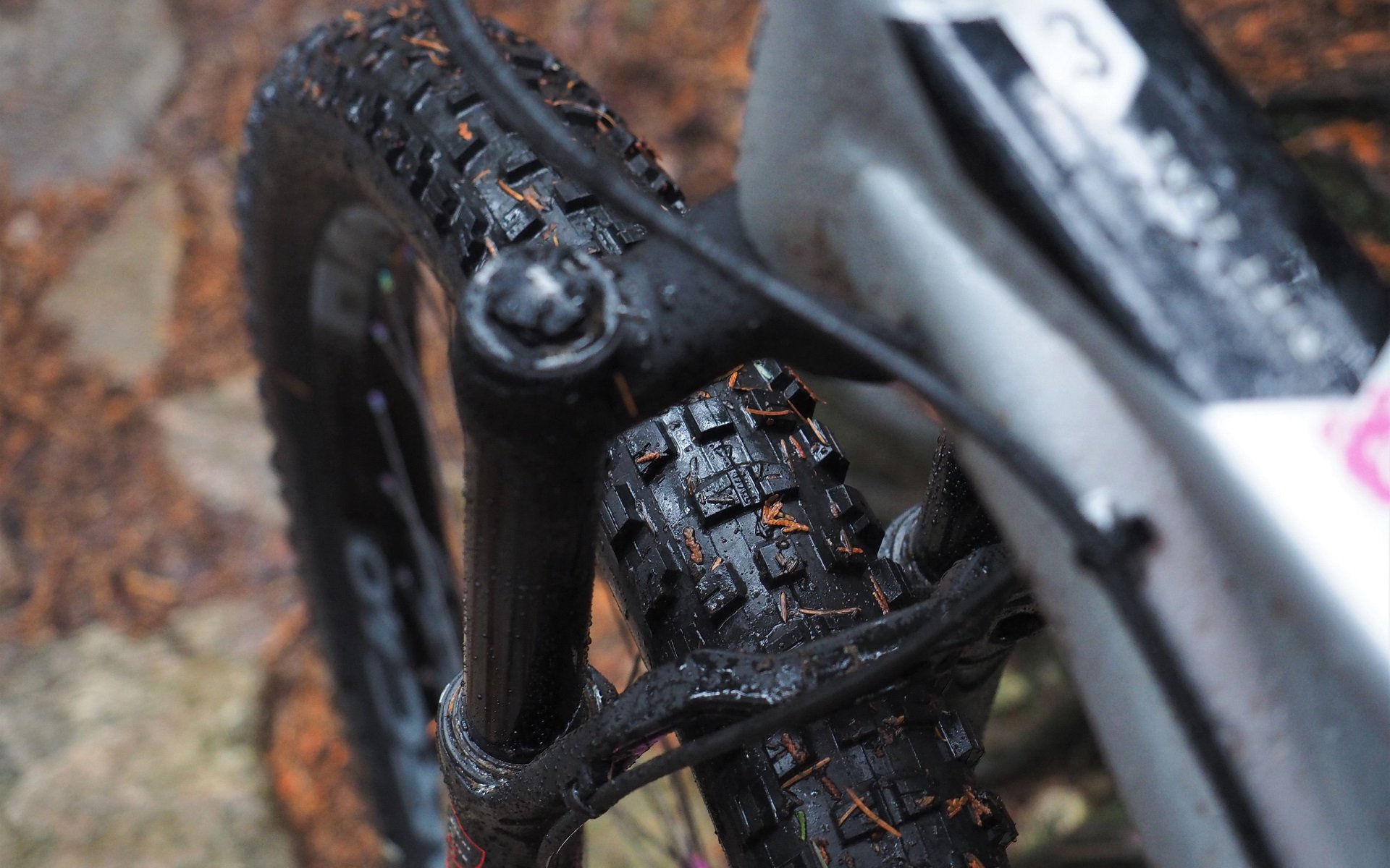 bontrager mtb tires