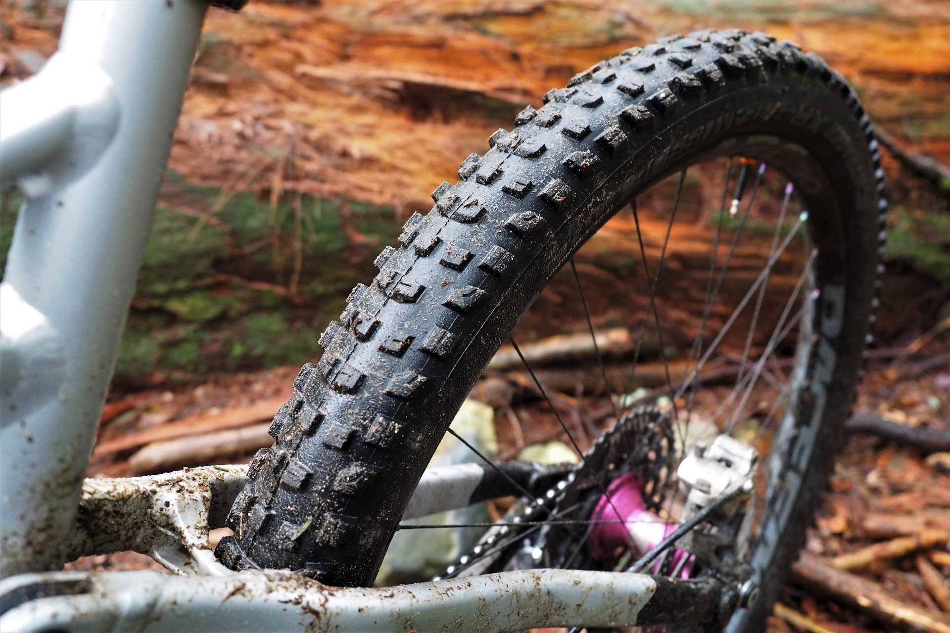 Bontrager XR4 and SE4 Team Issue Tires