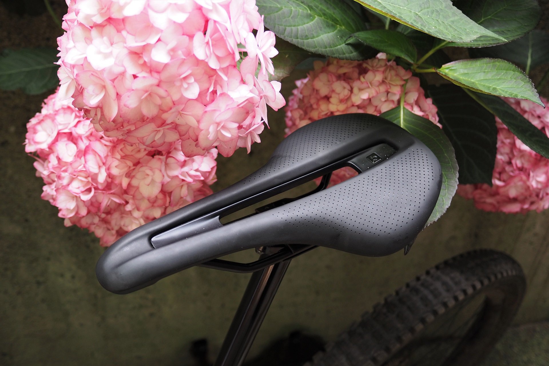 bontrager verse comp bike saddle