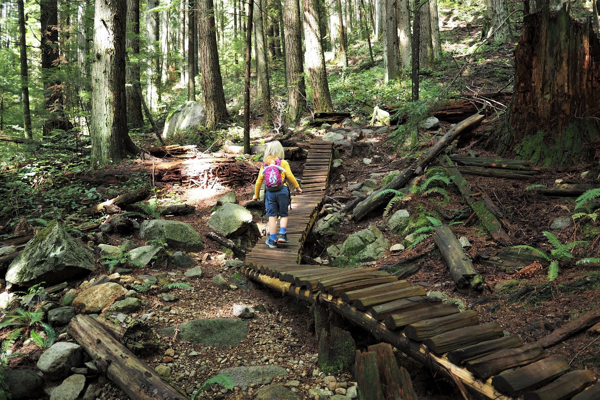 Boundary Hike NSMB AndrewM.JPG