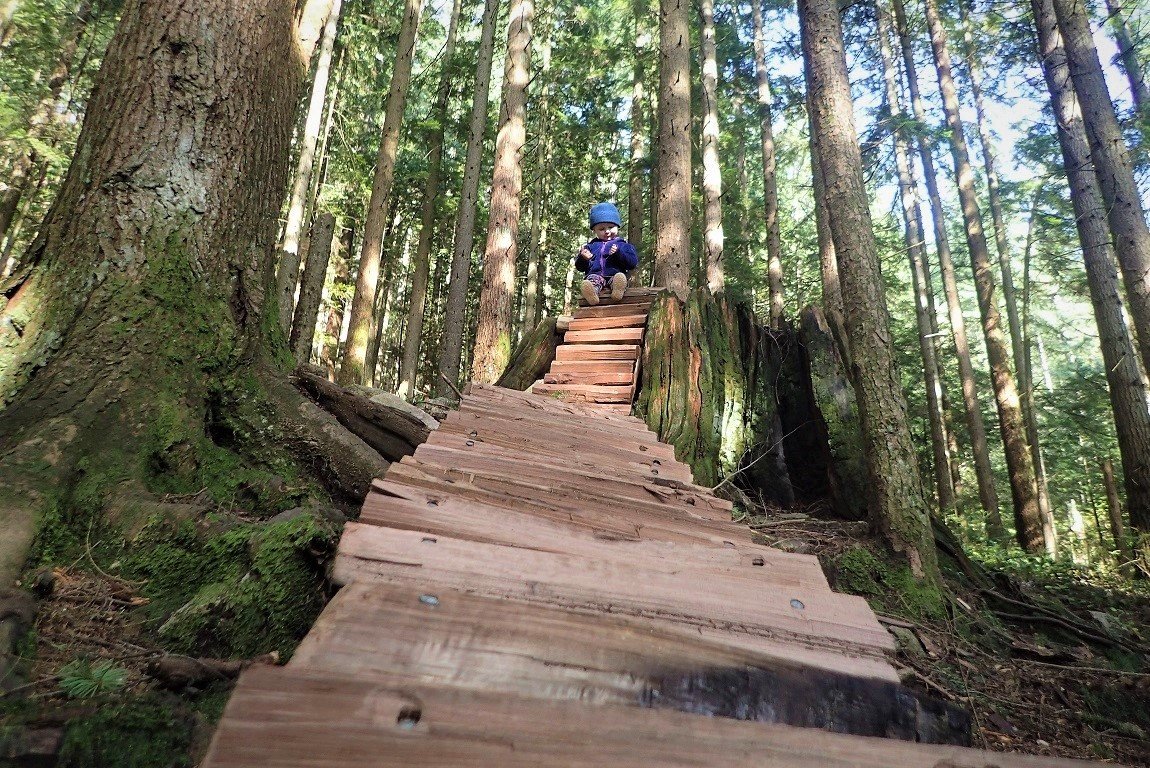 Boundary Trail 2016 NSMB AndrewM.jpg