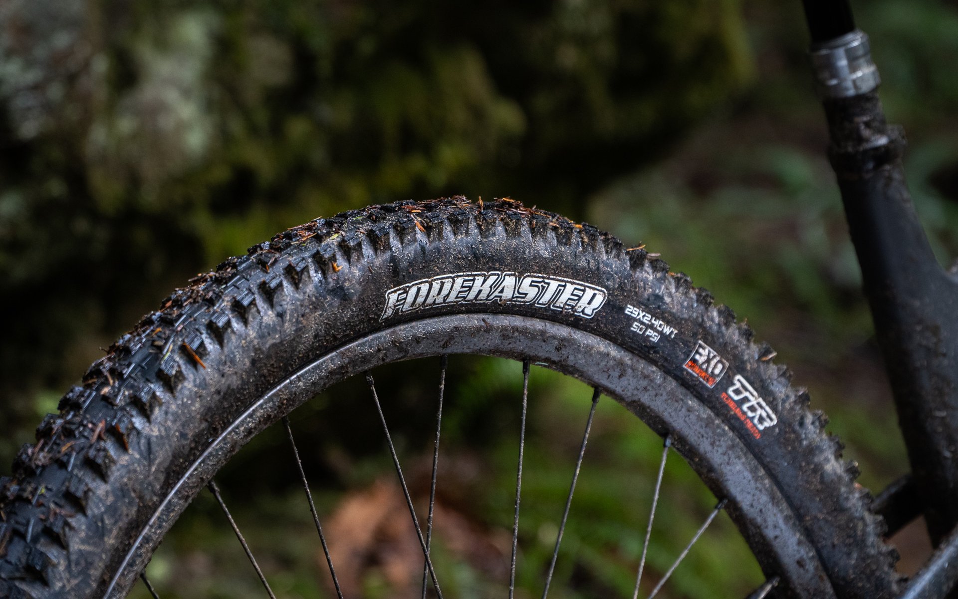 Maxxis front and rear combo online