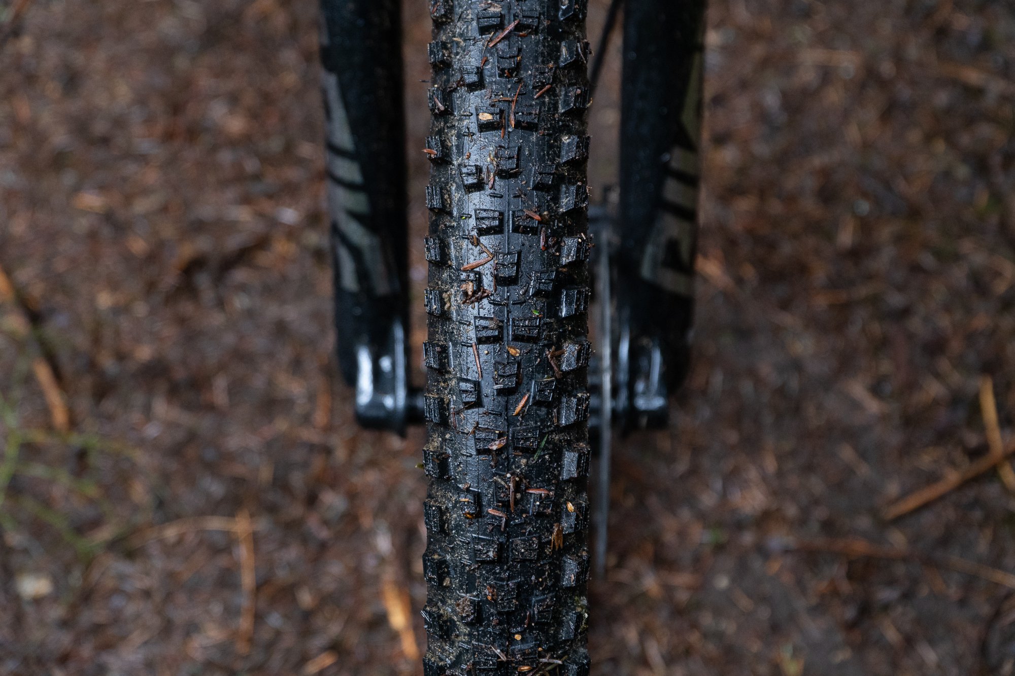 Maxxis Forekaster