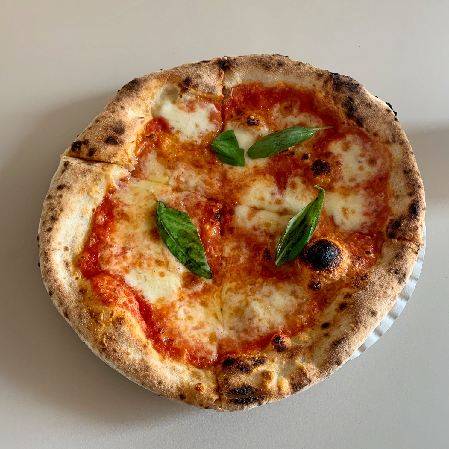 CQ_PizzaGravel_sizing-2