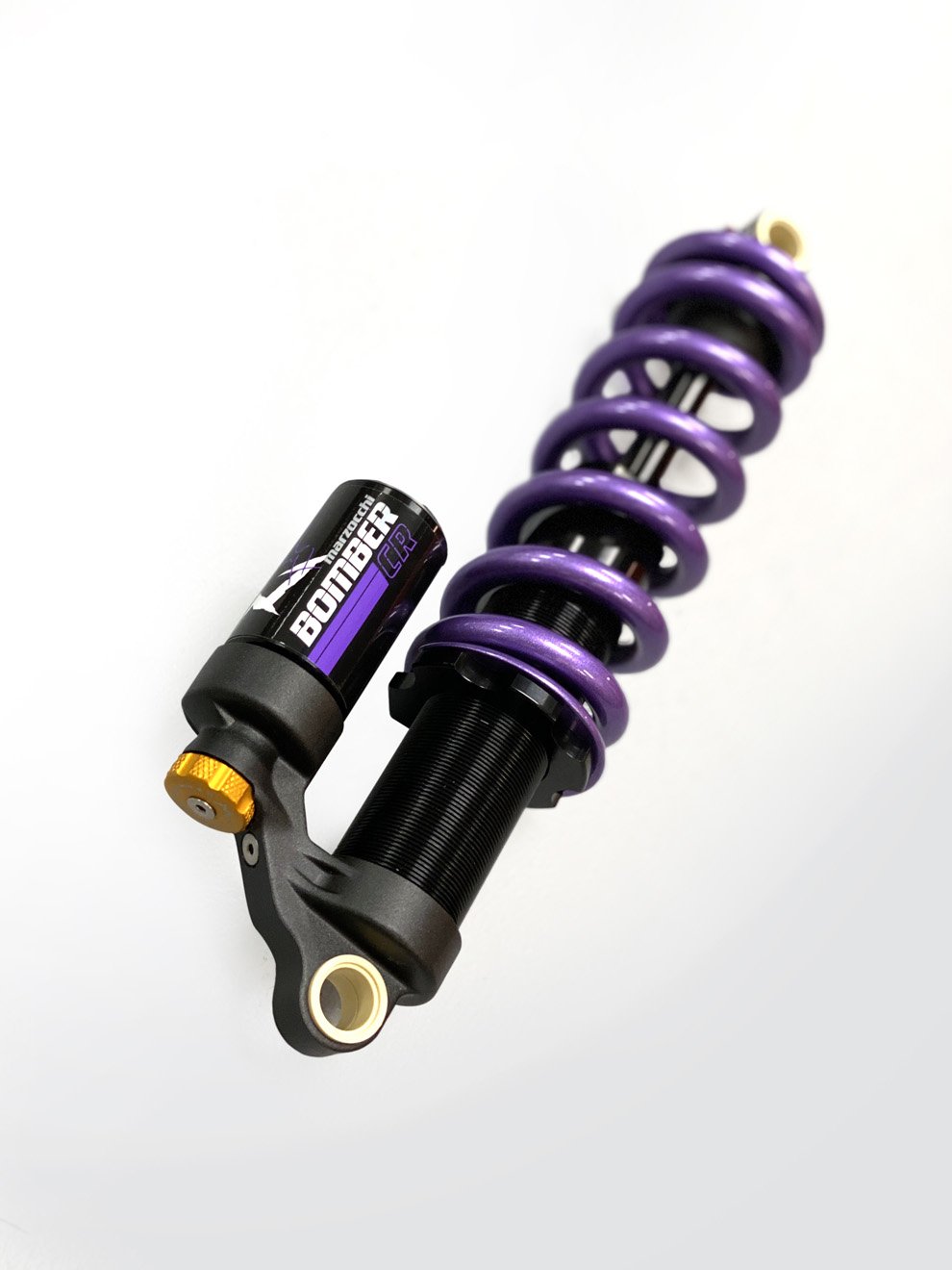 CR-purple.jpg