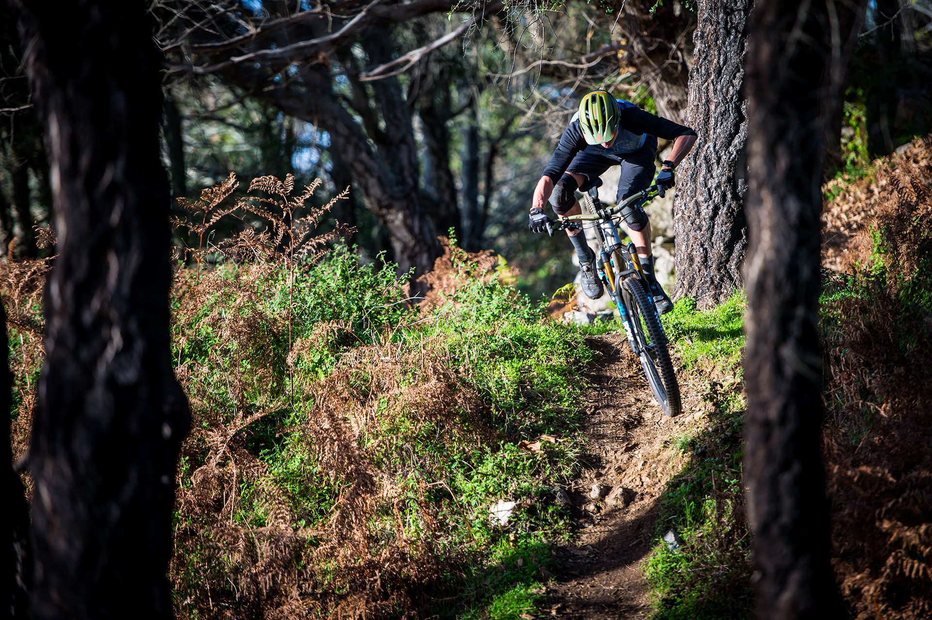 4 Reasons Why You Should Be A Fan Of Flow Trails for Mountain Biking -  Singletracks Mountain Bike News