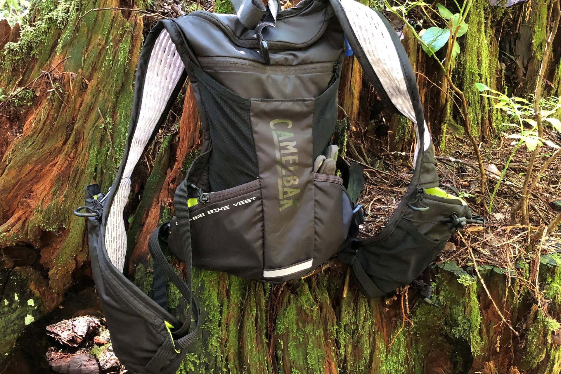 Camelbak Chase Bike Vest NSMB AndrewM (4).JPG