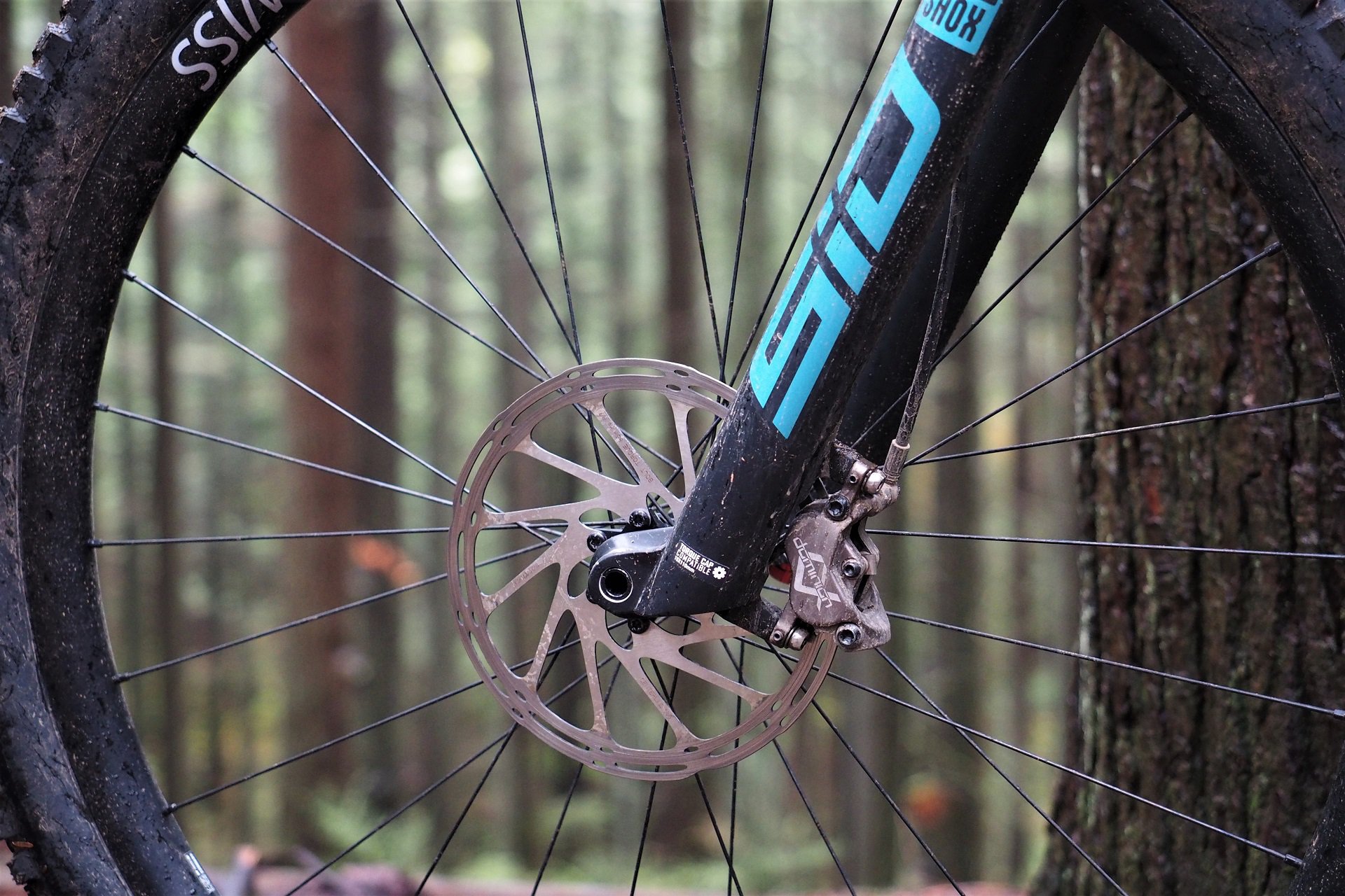 Canyon Lux Trail Highlights NSMB AndrewM (2).JPG
