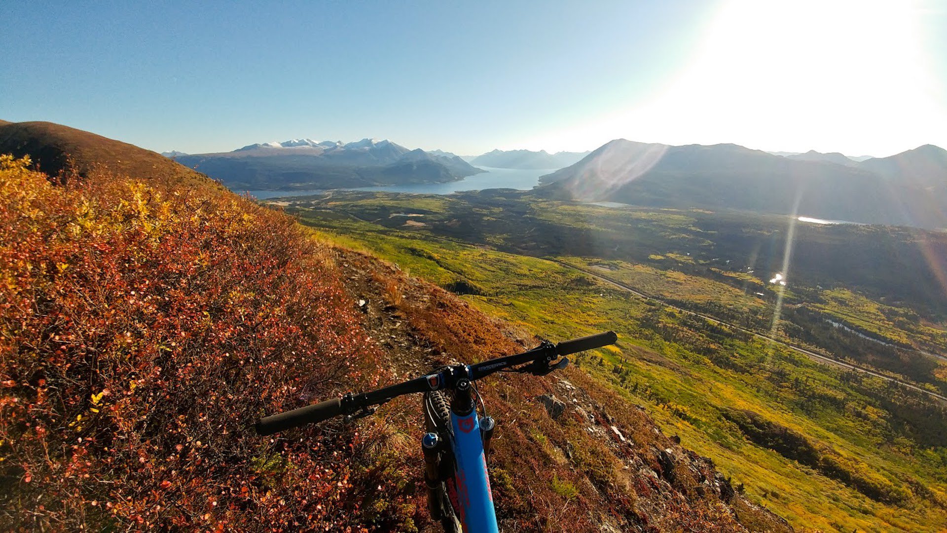 Caribou Cockpit