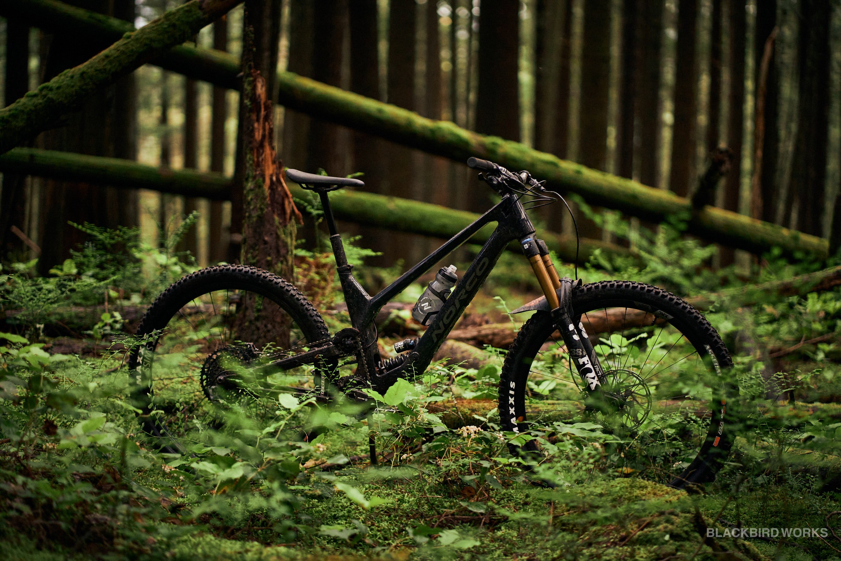 The All New 2022 Norco Range