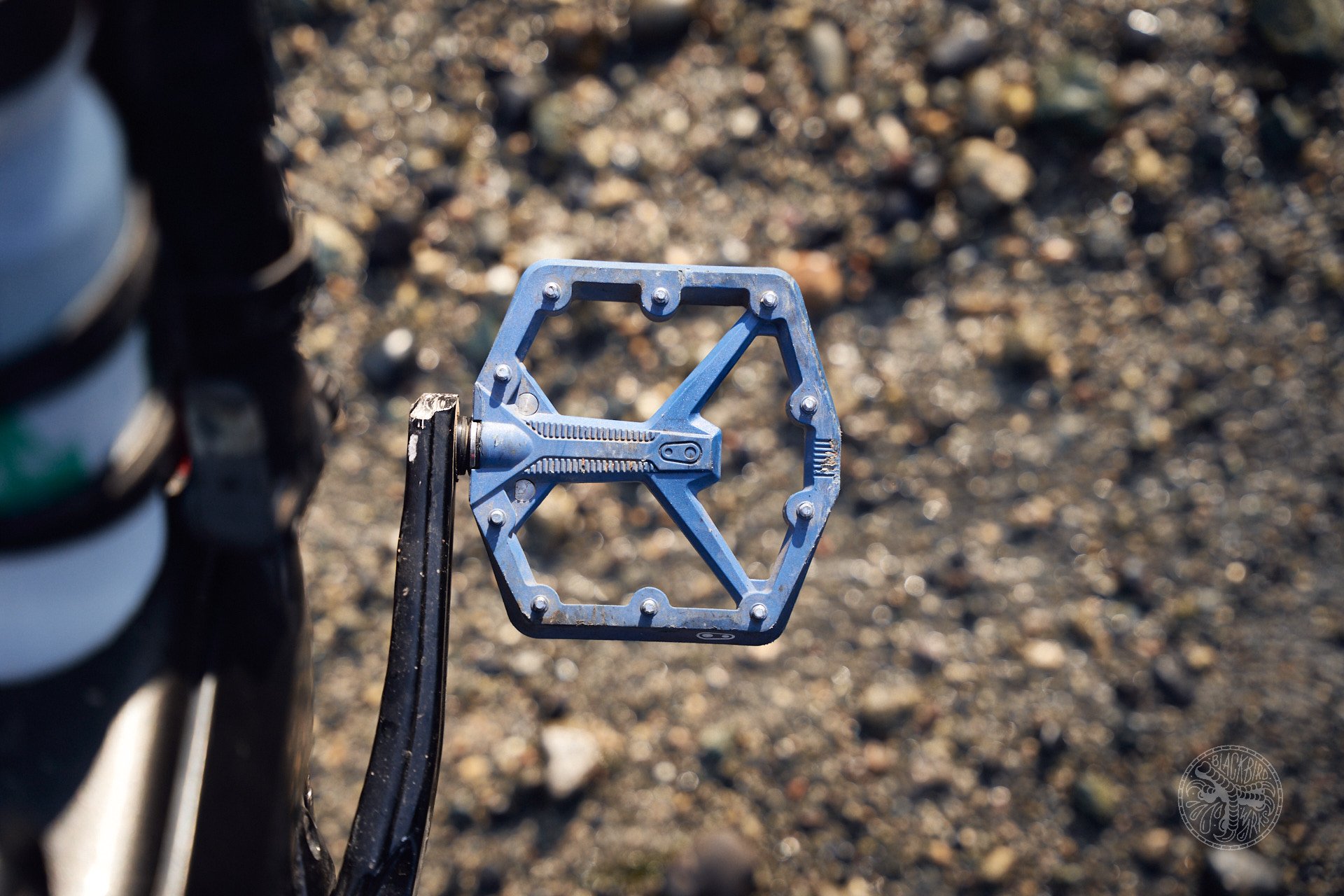 Tested: Crankbrothers Stamp 1 (Gen 2) Composite Pedal - Mountain Bike  Feature - Vital MTB