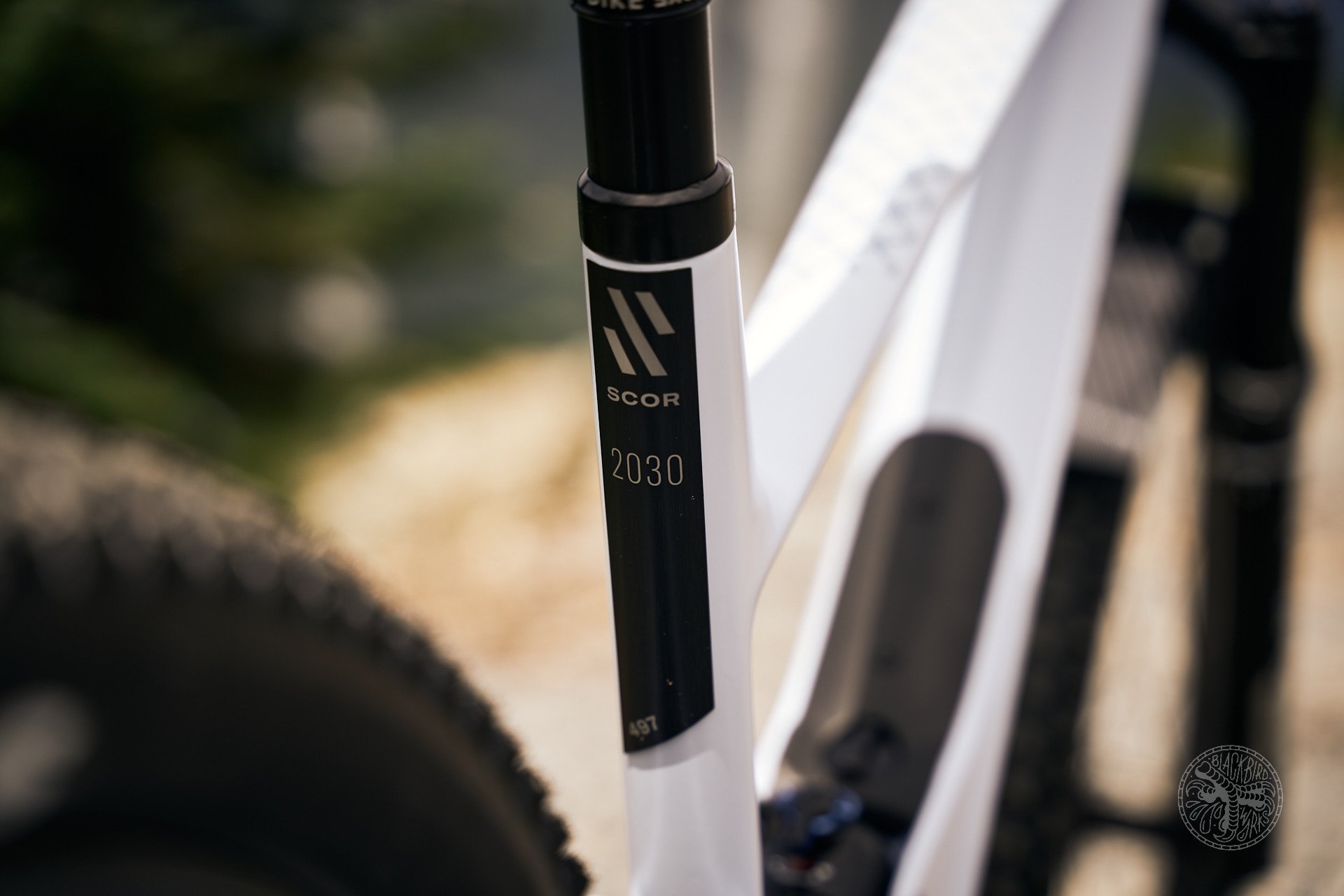 DENIZ MERDANO 2024 SCOR 2030 PRODUCT SHOTS 5