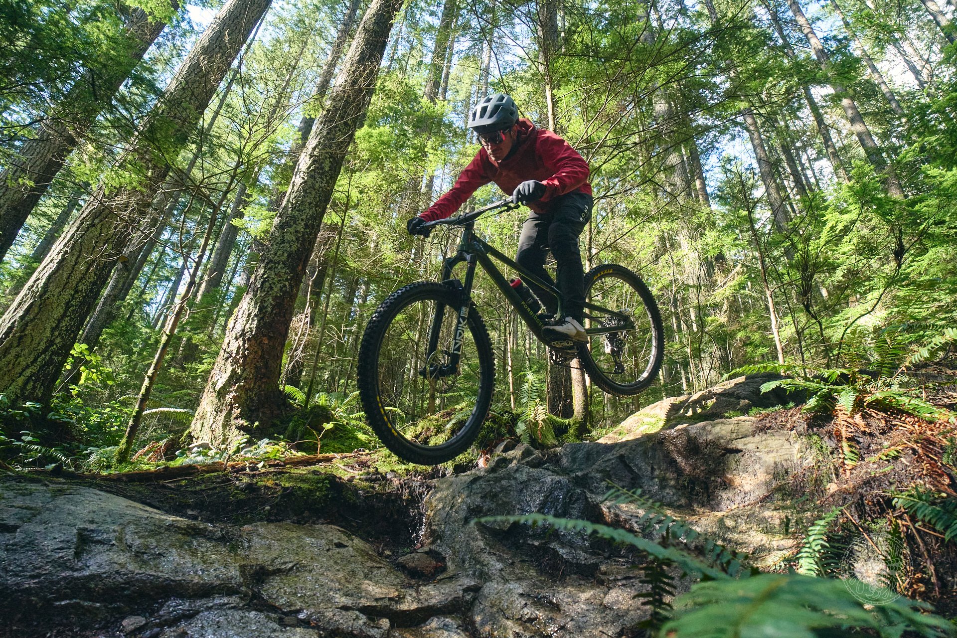 DM Trevor Cam Deniz Forbidden Sram wtb 38