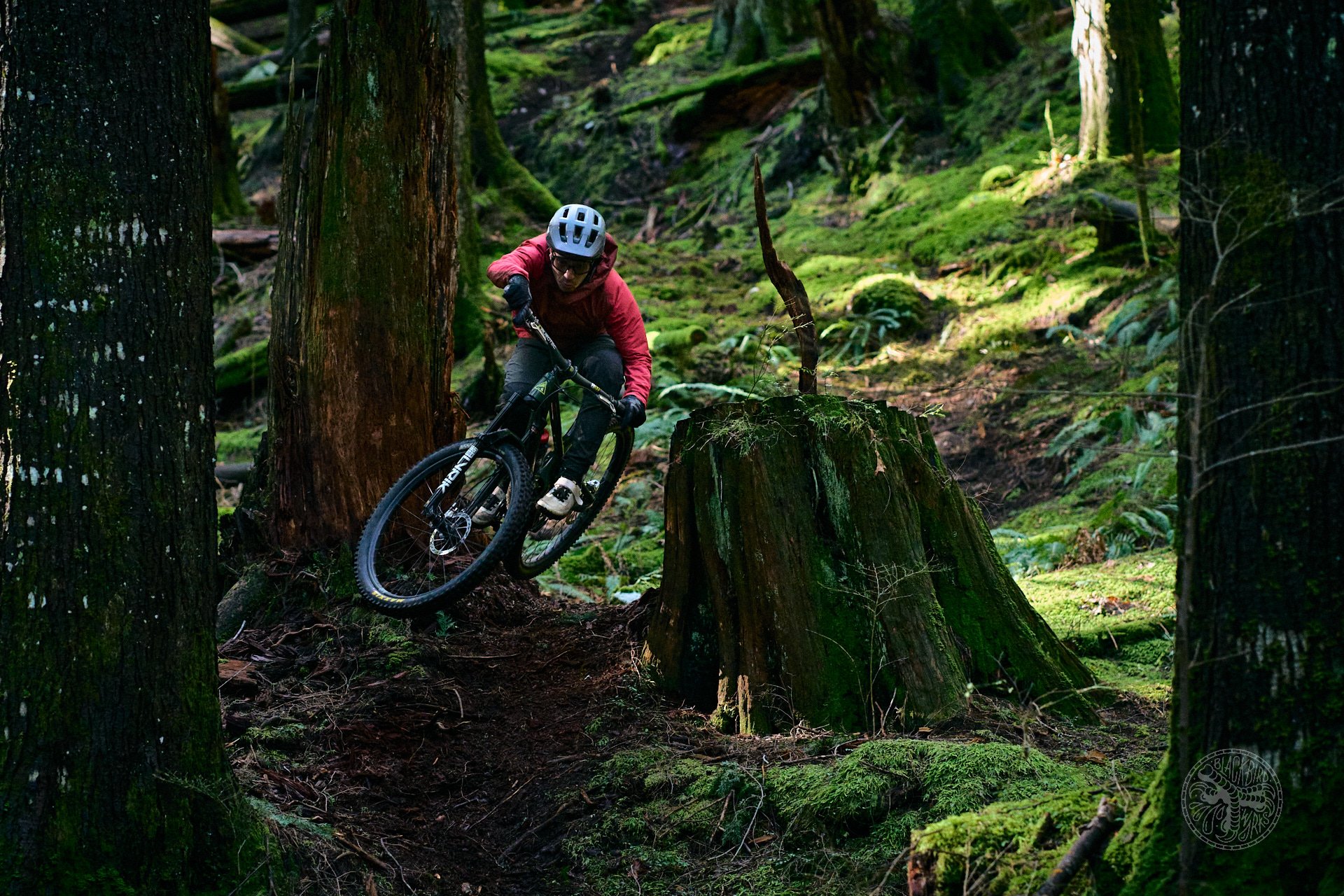 DM Trevor Cam Deniz Forbidden Sram wtb 57