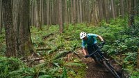 DM cannondale moterra sl 3