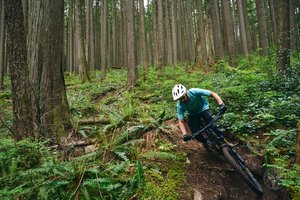DM cannondale moterra sl 3