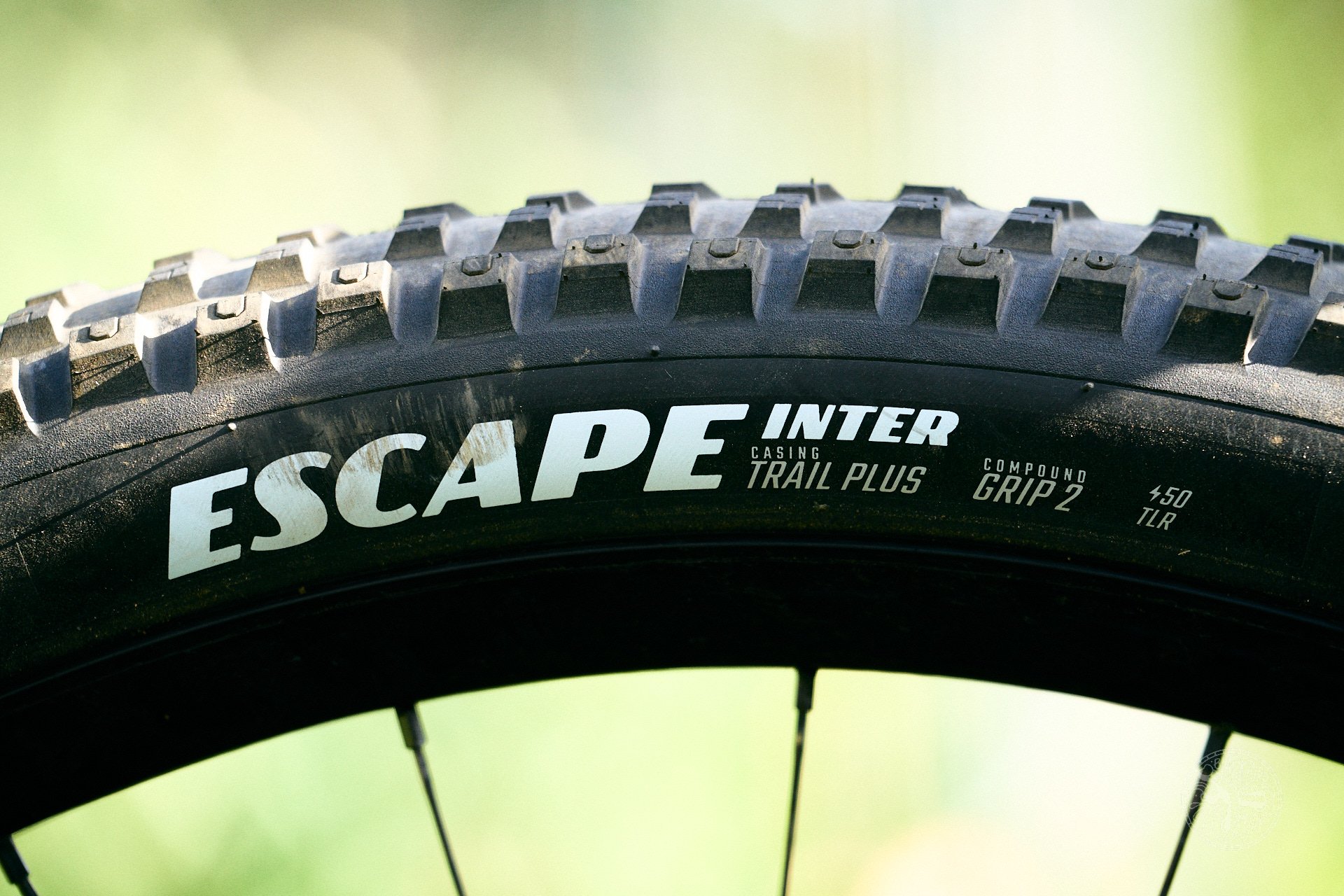 DM goodyear escape max inter 2