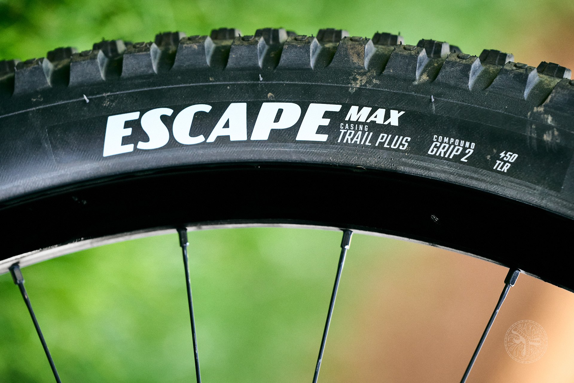 DM goodyear escape max inter 5