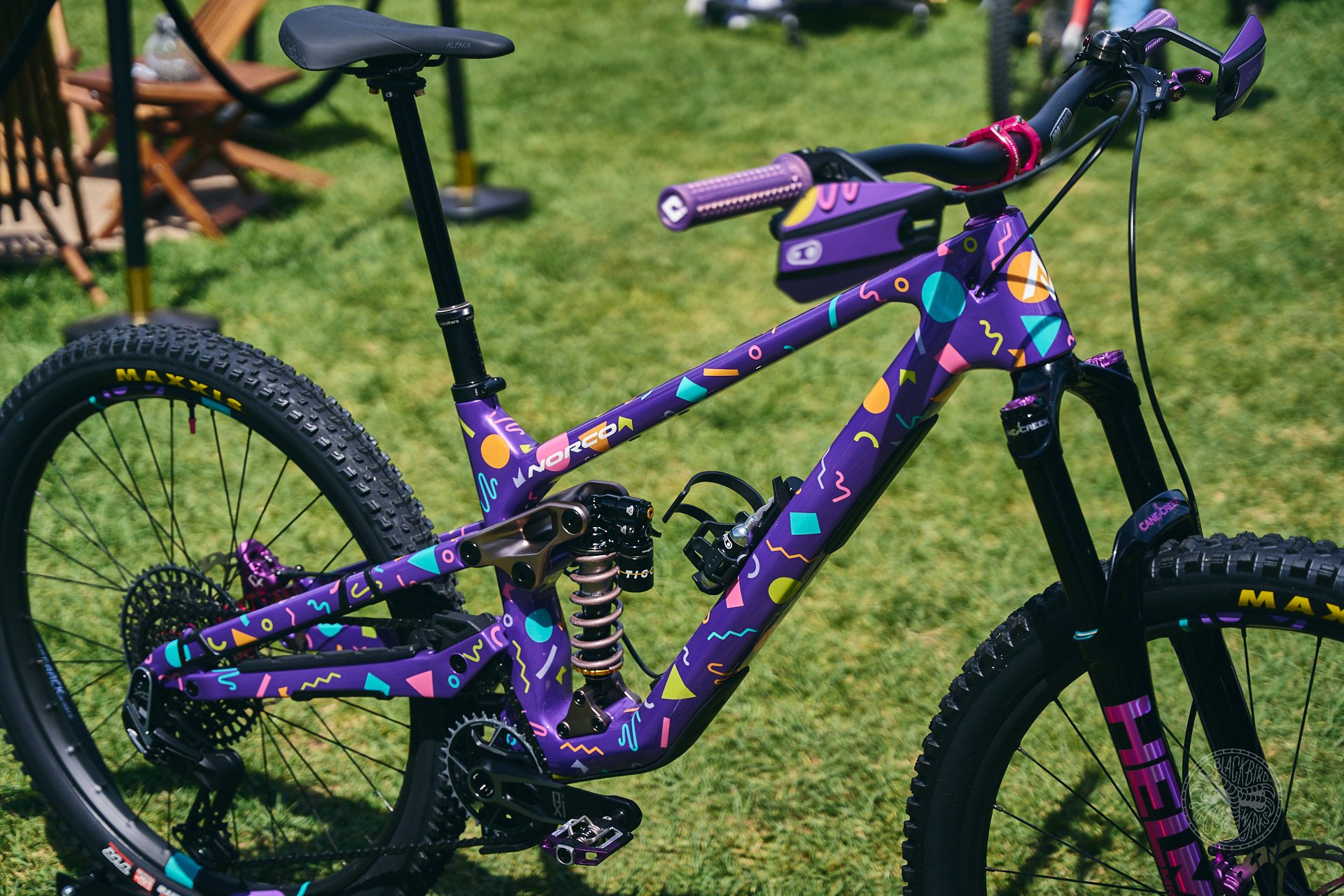 DM sea otter 2025 42
