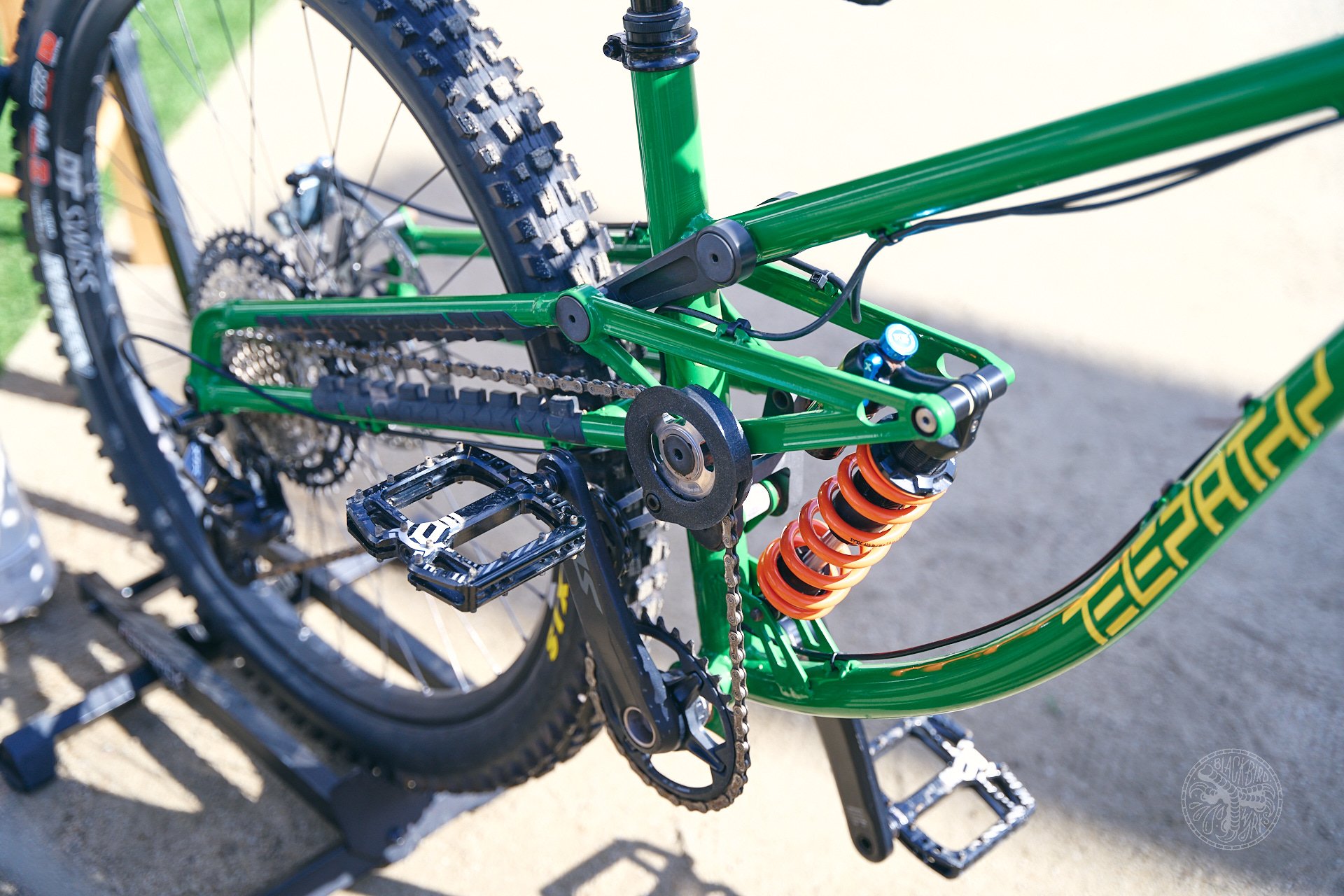 DM sea otter 2025 70