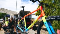 DM sea otter 2025 98 hudski sea otter header