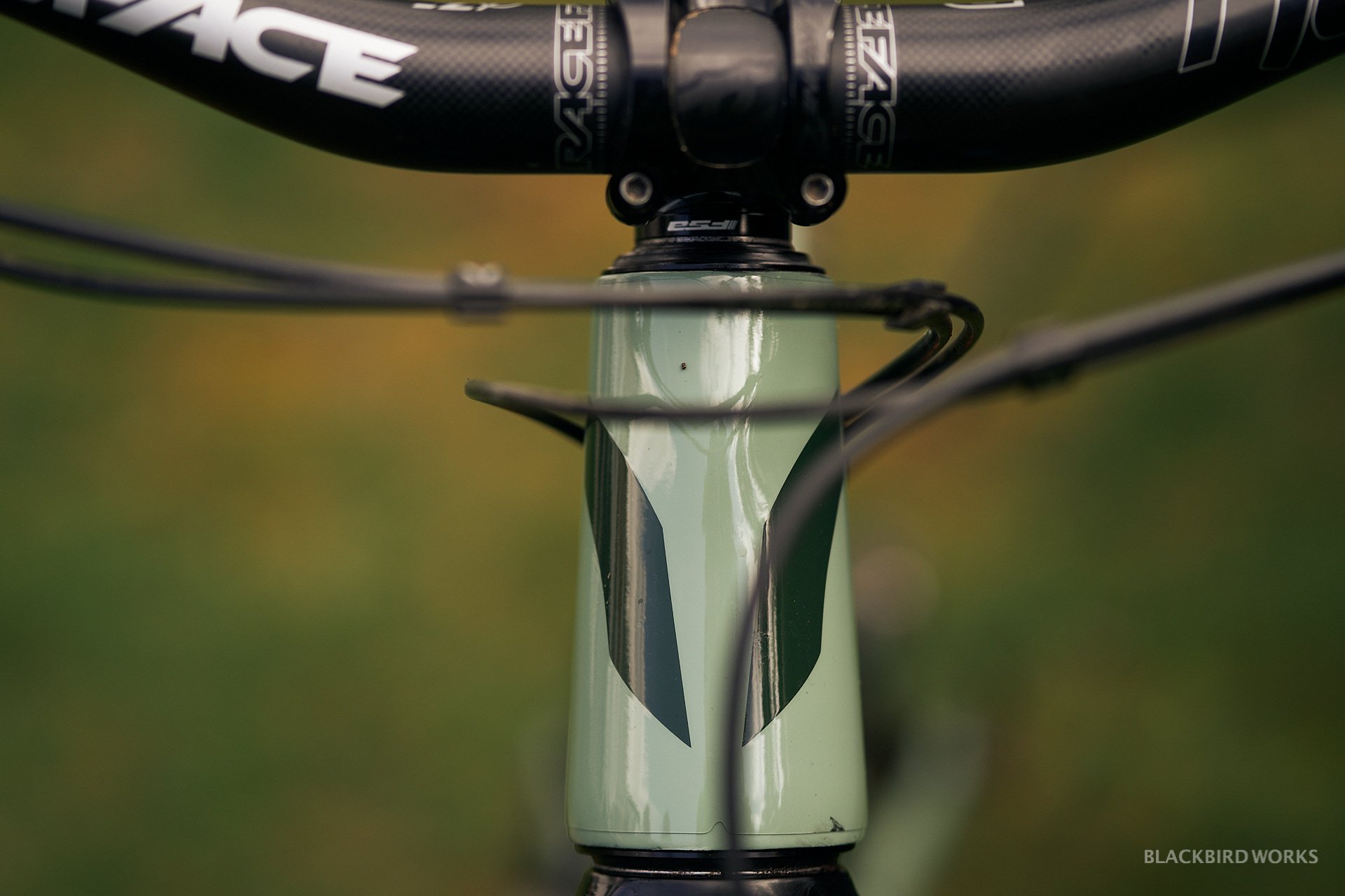DSC01193-denizmerdano-dreamride-stevevanderhoek-devinci-spartan.jpg
