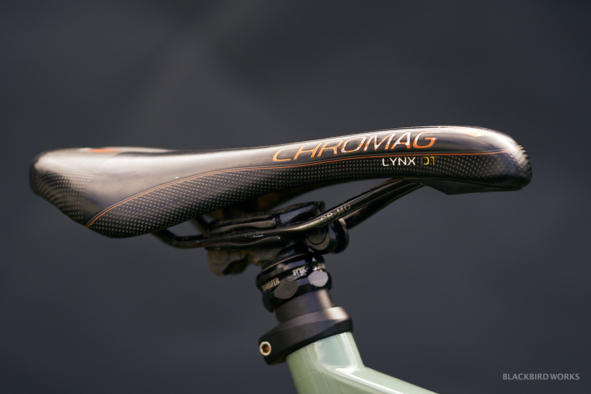 DSC01196-denizmerdano-dreamride-stevevanderhoek-devinci-spartan.jpg