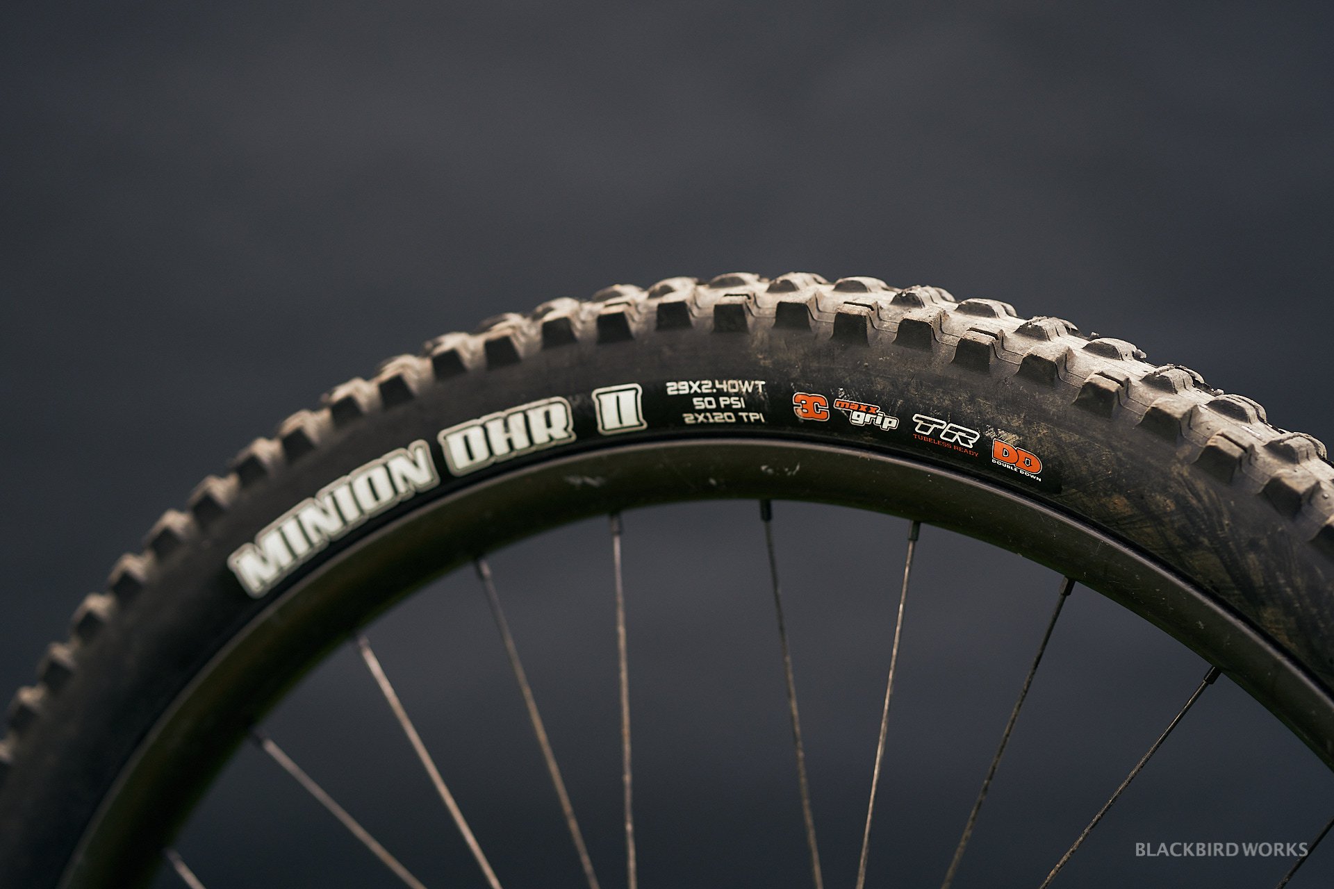 DSC01197-denizmerdano-dreamride-stevevanderhoek-devinci-spartan.jpg