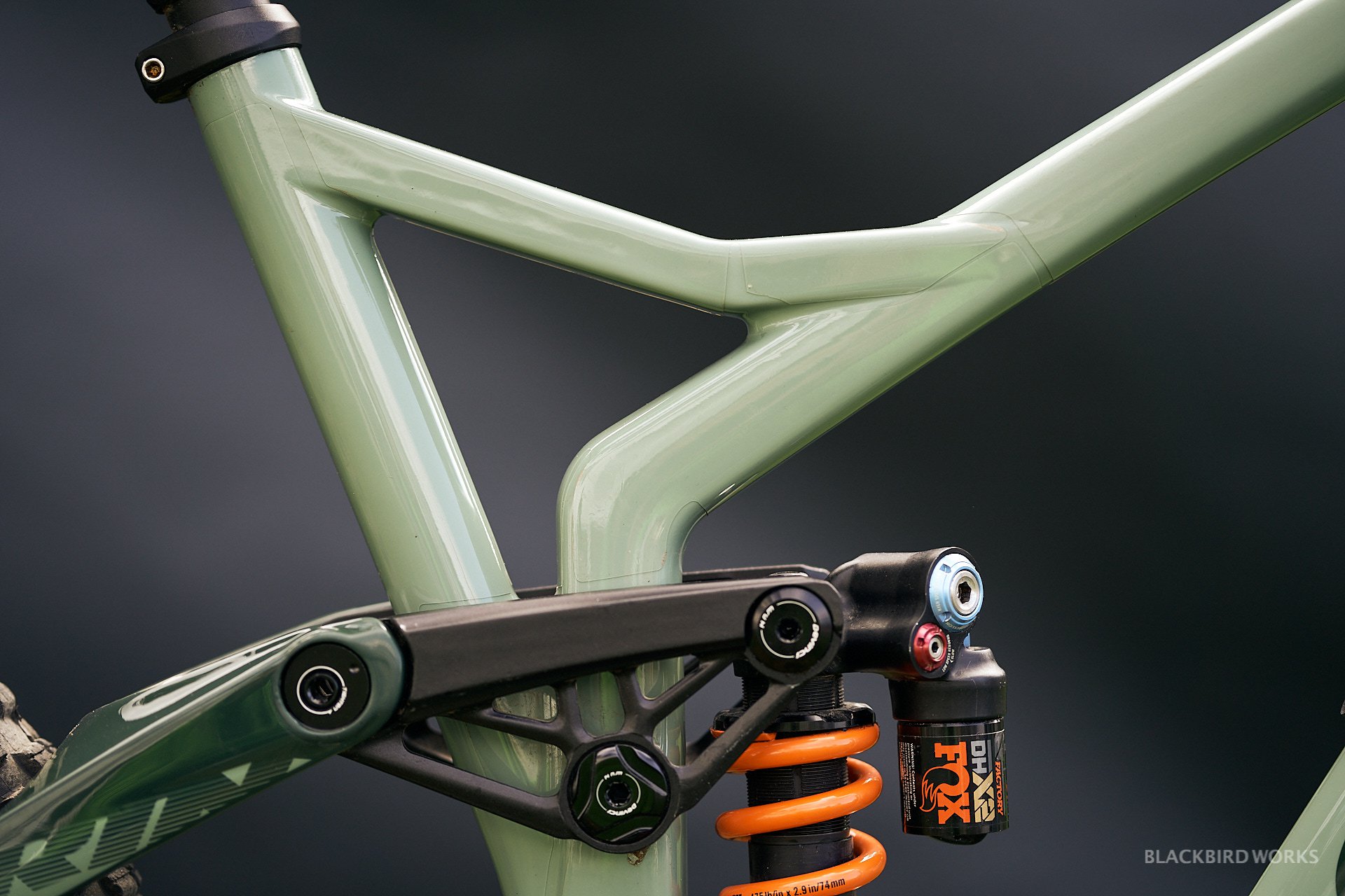 DSC01203-denizmerdano-dreamride-stevevanderhoek-devinci-spartan.jpg