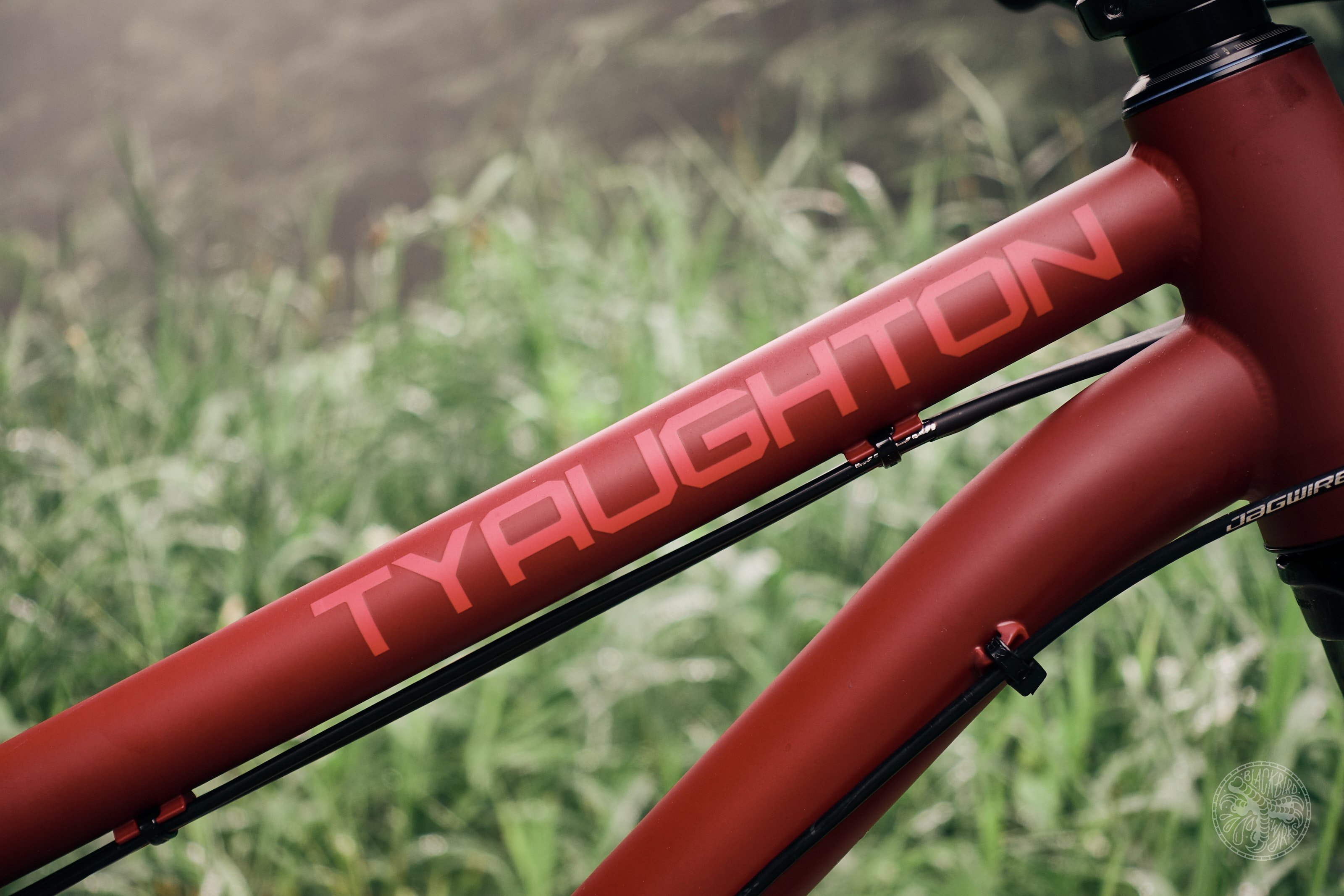 The New Knolly Hardtail: Tyaughton Ti and Steel - Mountain Bike Press  Release - Vital MTB