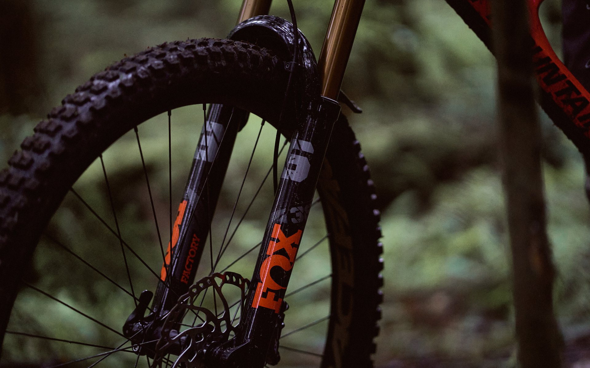 2021 fox 36 mudguard