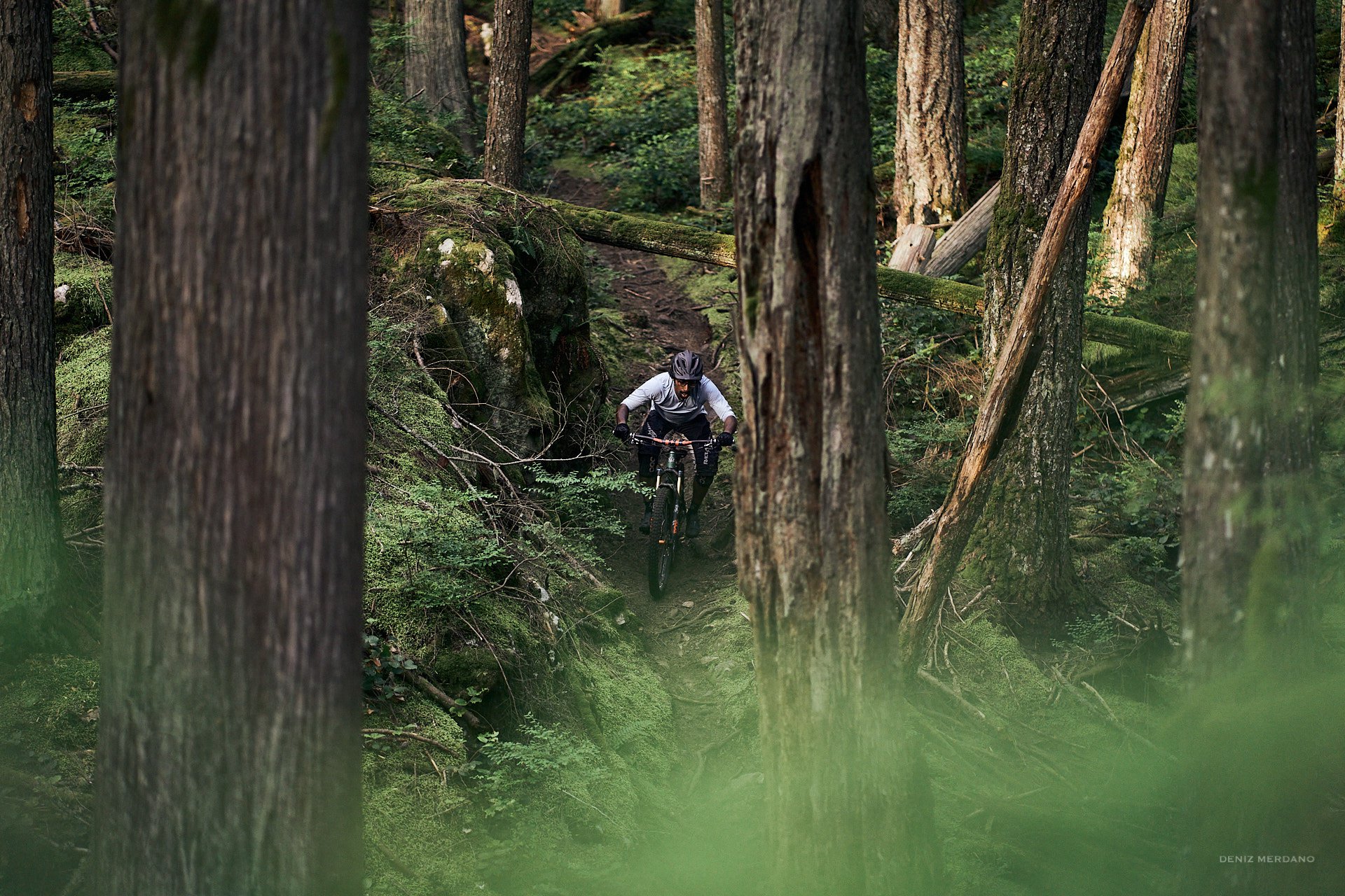 DSC01975_denizmerdano-sanesh-blackbirworks-chromag.jpg