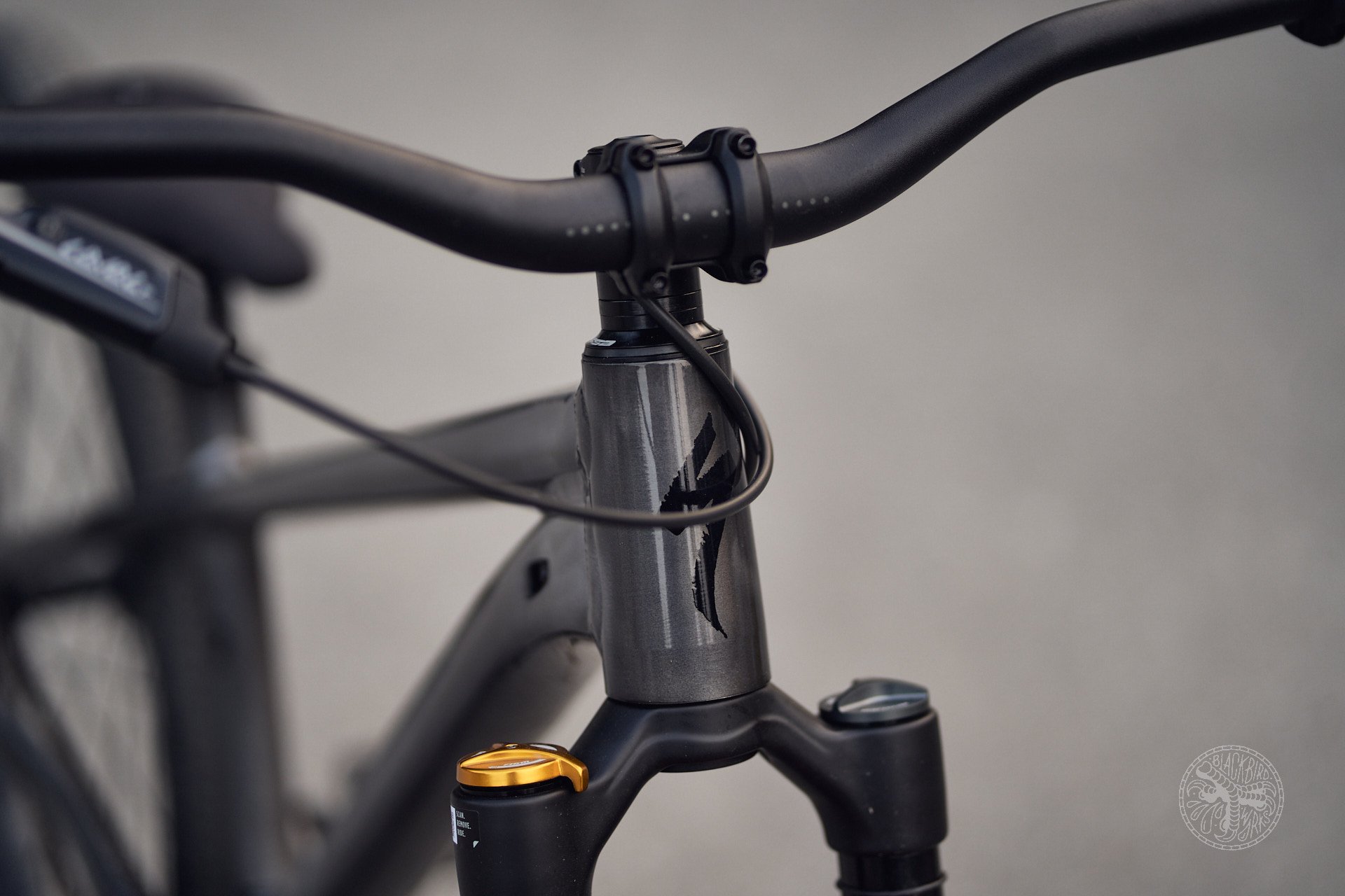 DSC02369-denizmerdano specialized P2 P3