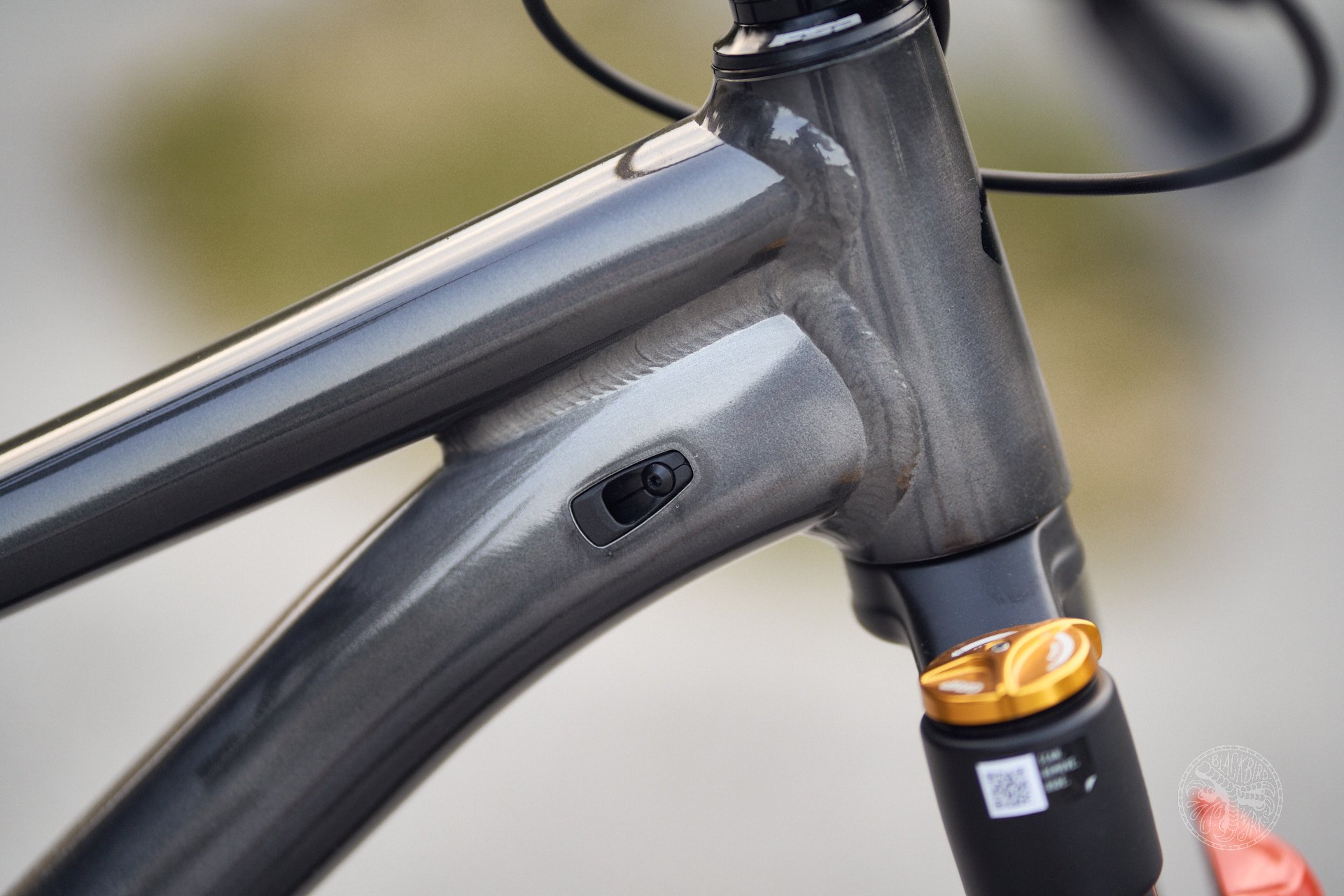 DSC02375-denizmerdano specialized P2 P3