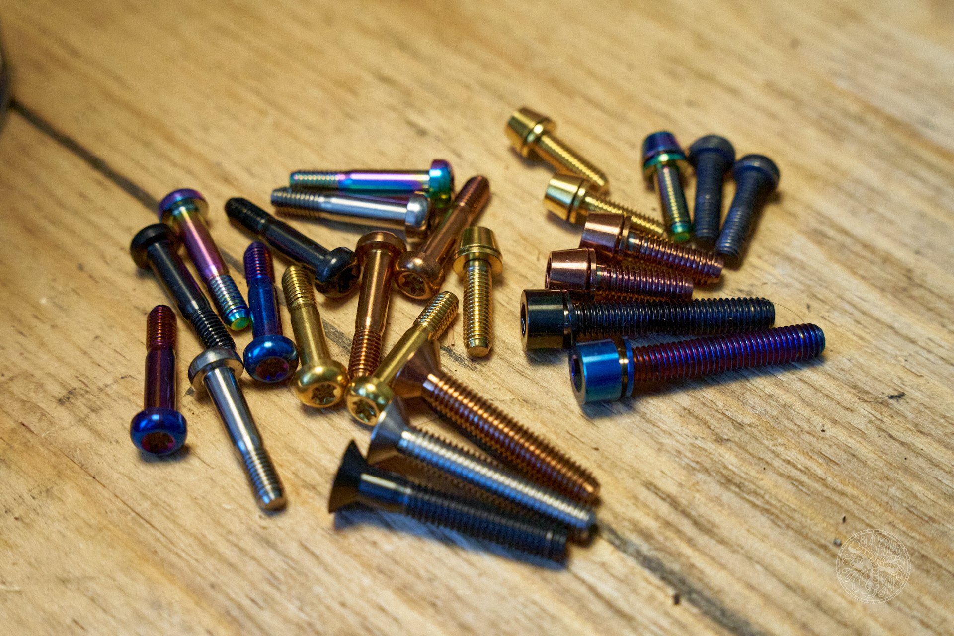 DSC02396-denizmerdano ti bolts