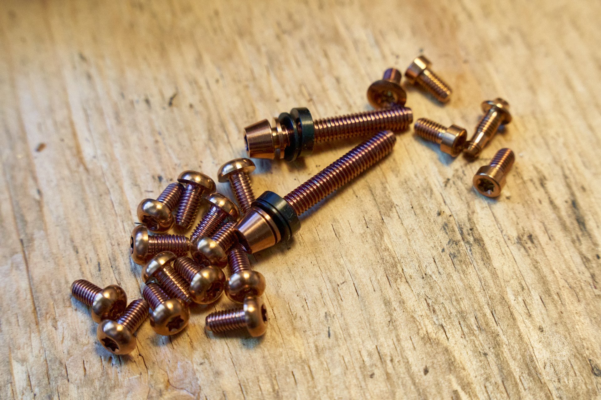DSC02397-denizmerdano ti bolts