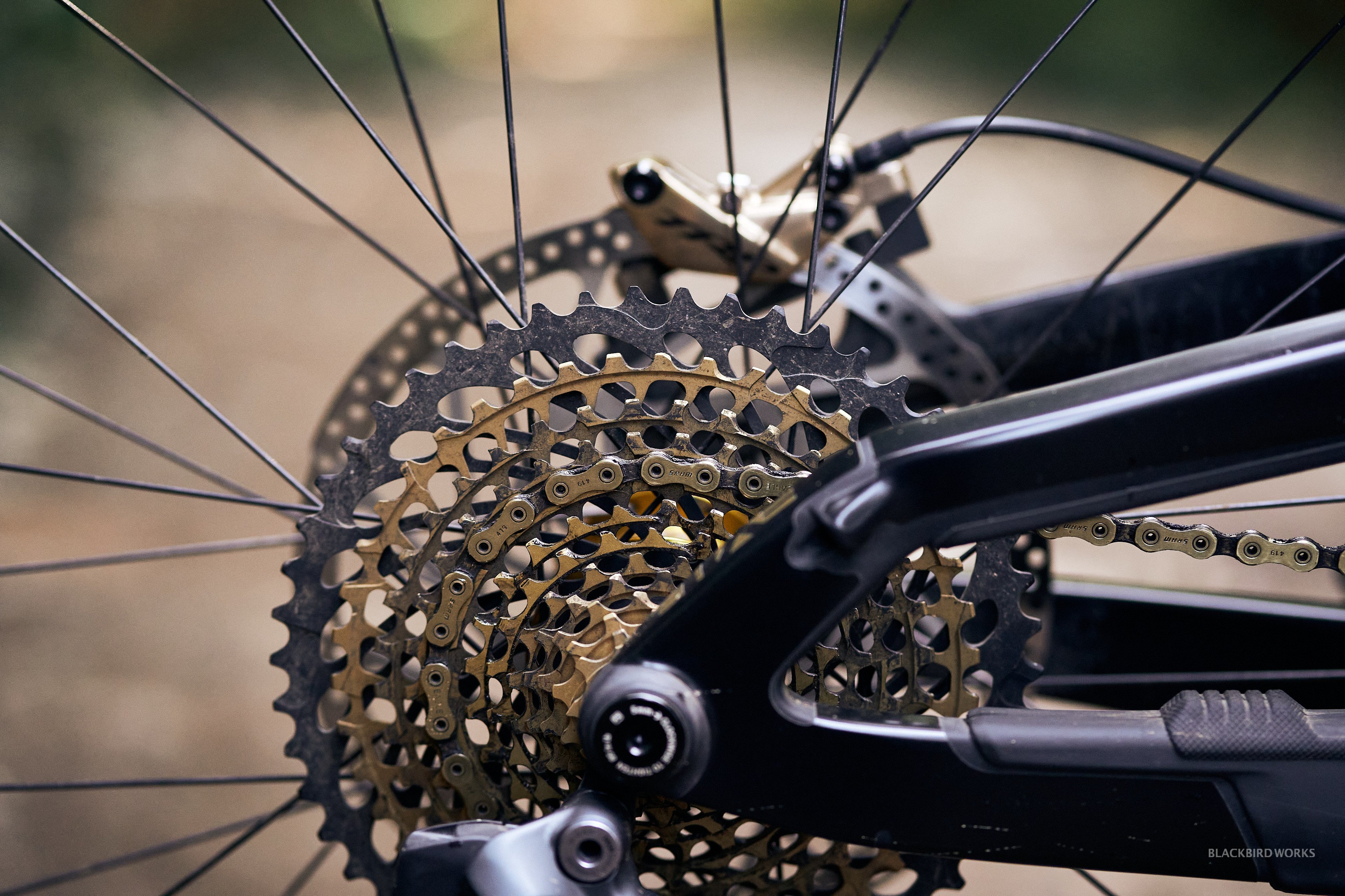 DSC02508-denizmerdano-denizmerdano-dreamrides-evil-wreckoning-ridewrap-trevor-vince.jpg
