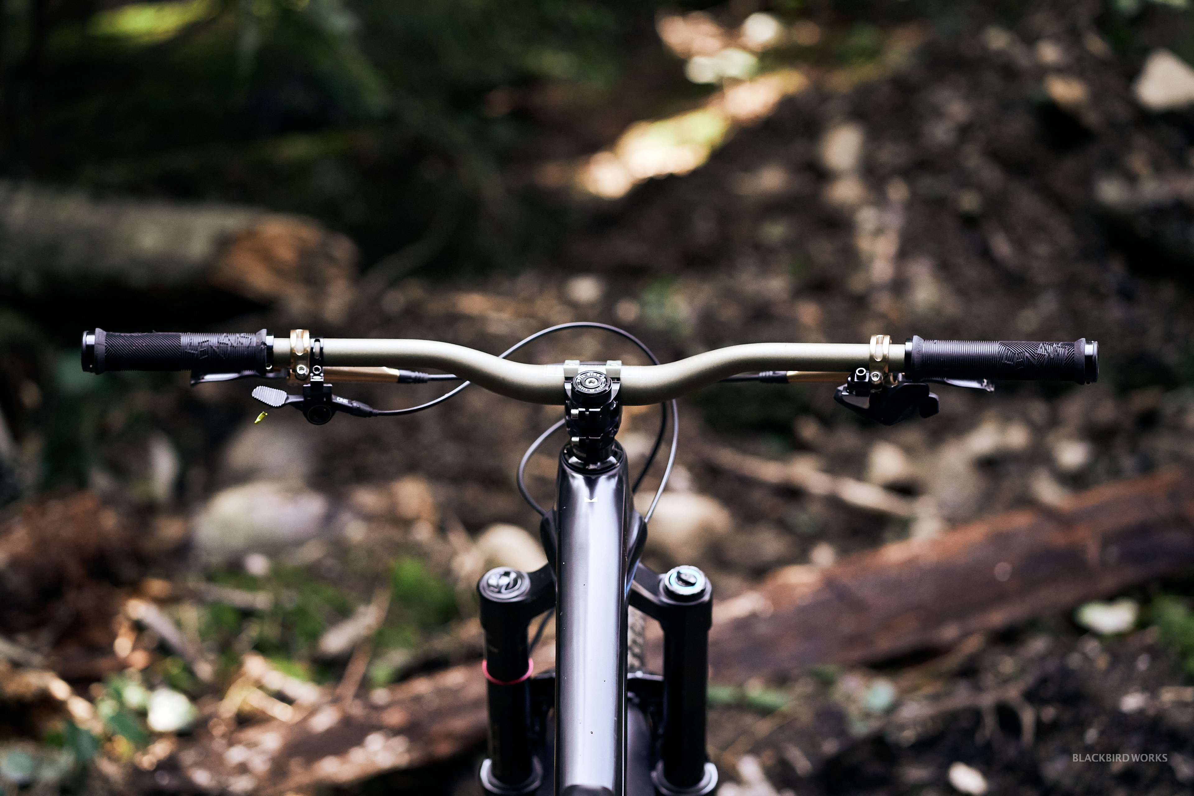 DSC02532-denizmerdano-denizmerdano-dreamrides-evil-wreckoning-ridewrap-trevor-vince.jpg