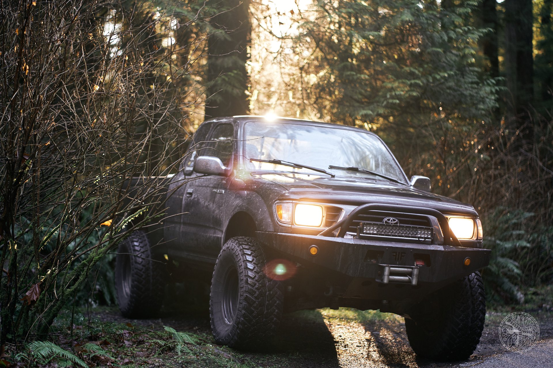 DSC02639-denizmerdano-hailey-tacoma-pistonsandpivots.jpg