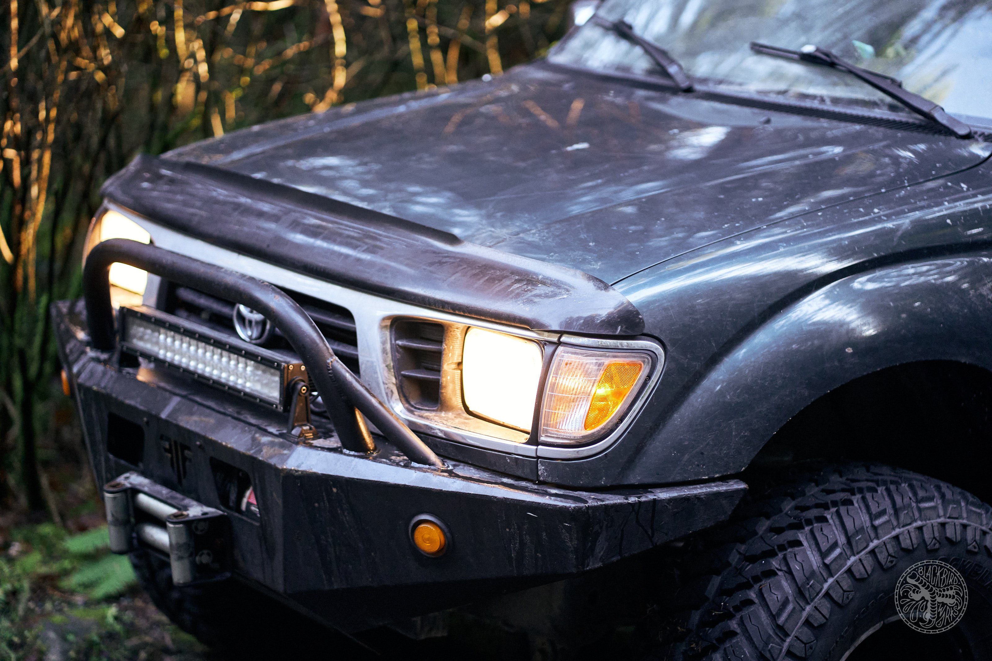 DSC02660-denizmerdano-hailey-tacoma-pistonsandpivots.jpg