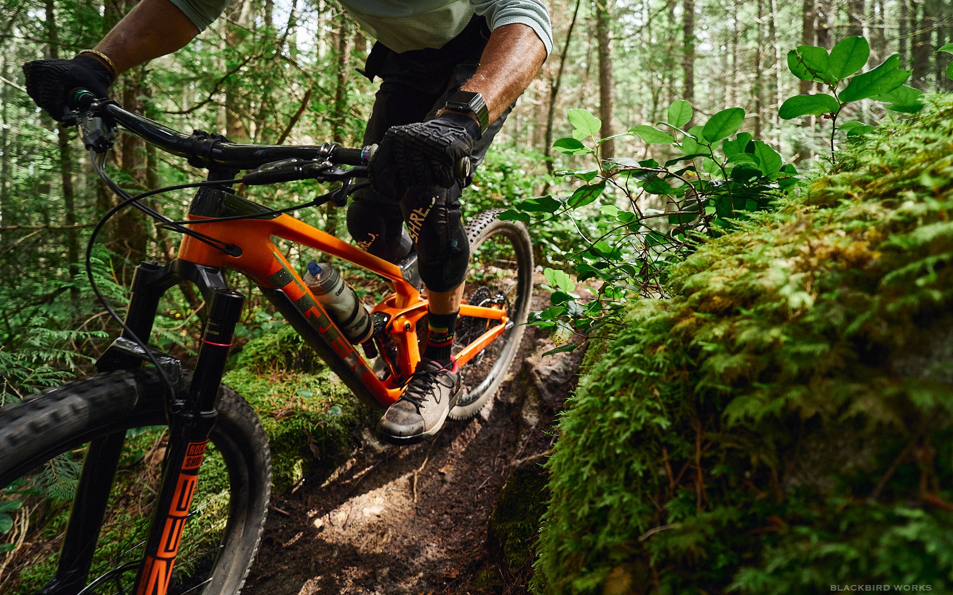 trek slash 2021 release