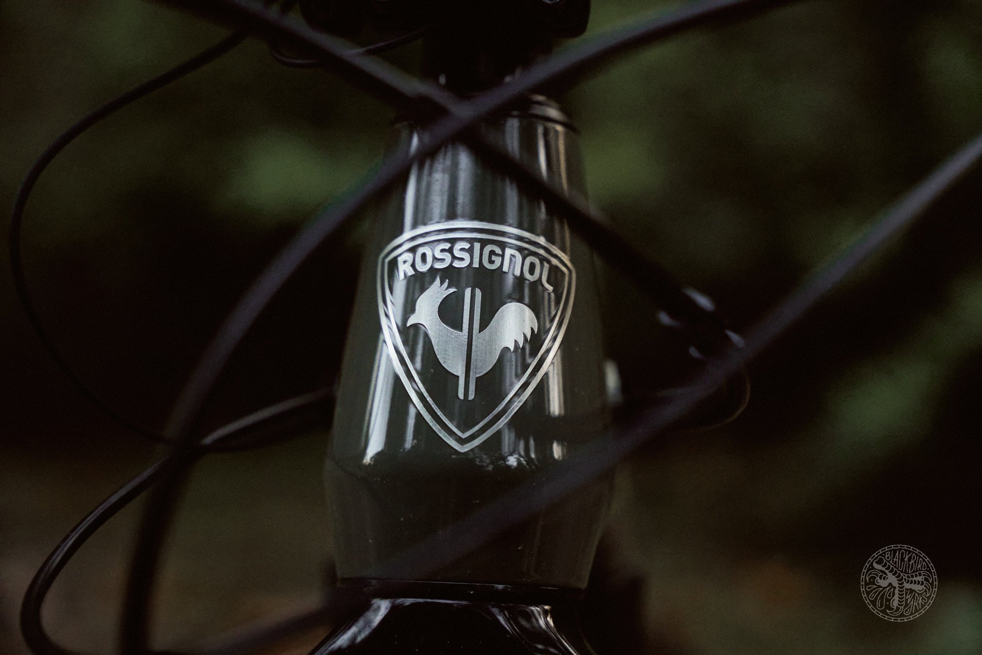 DSC03119-denizmerdano rossignol mandate shift xt
