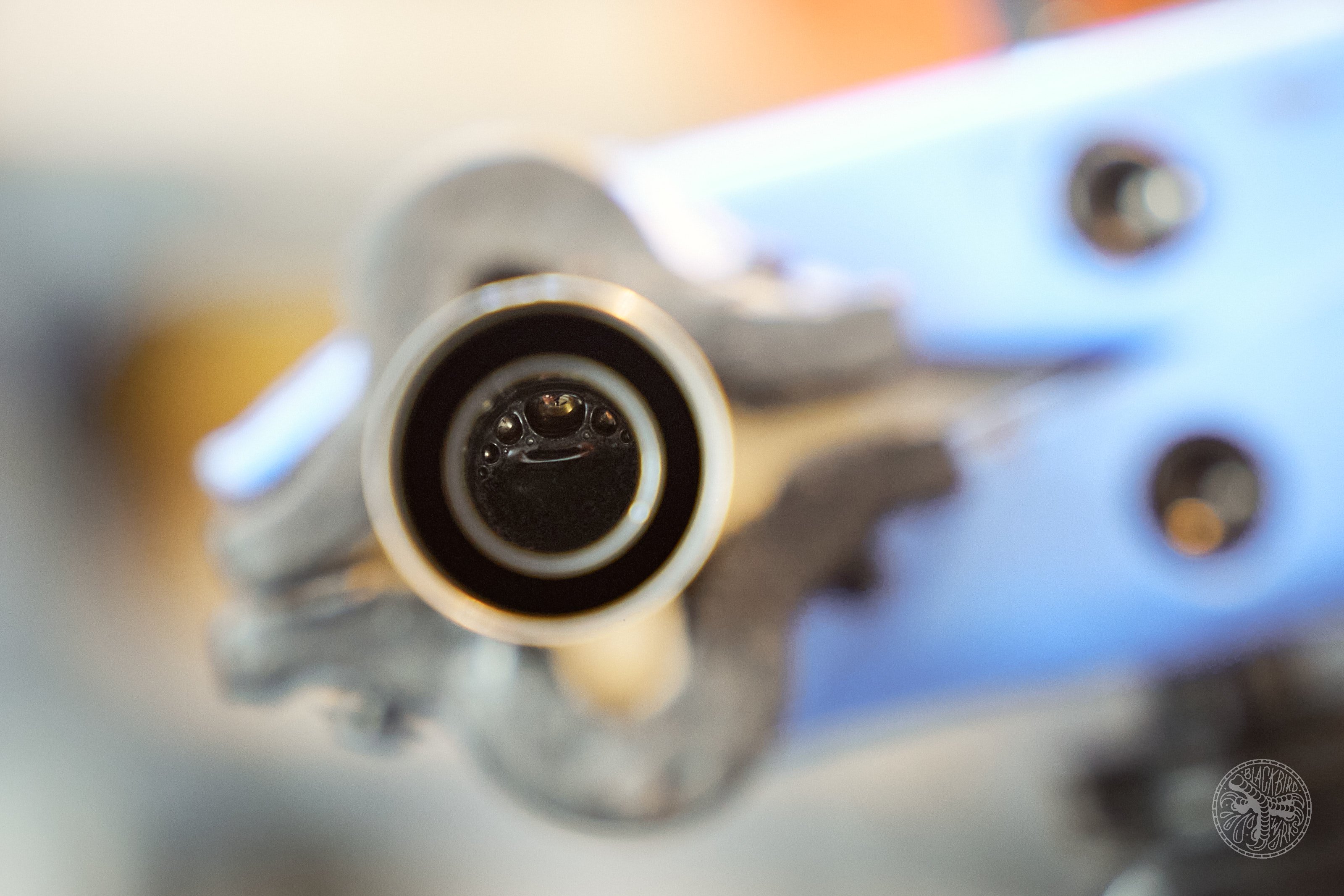 DSC03135-denizmerdano-oneupdropperteardown.jpg