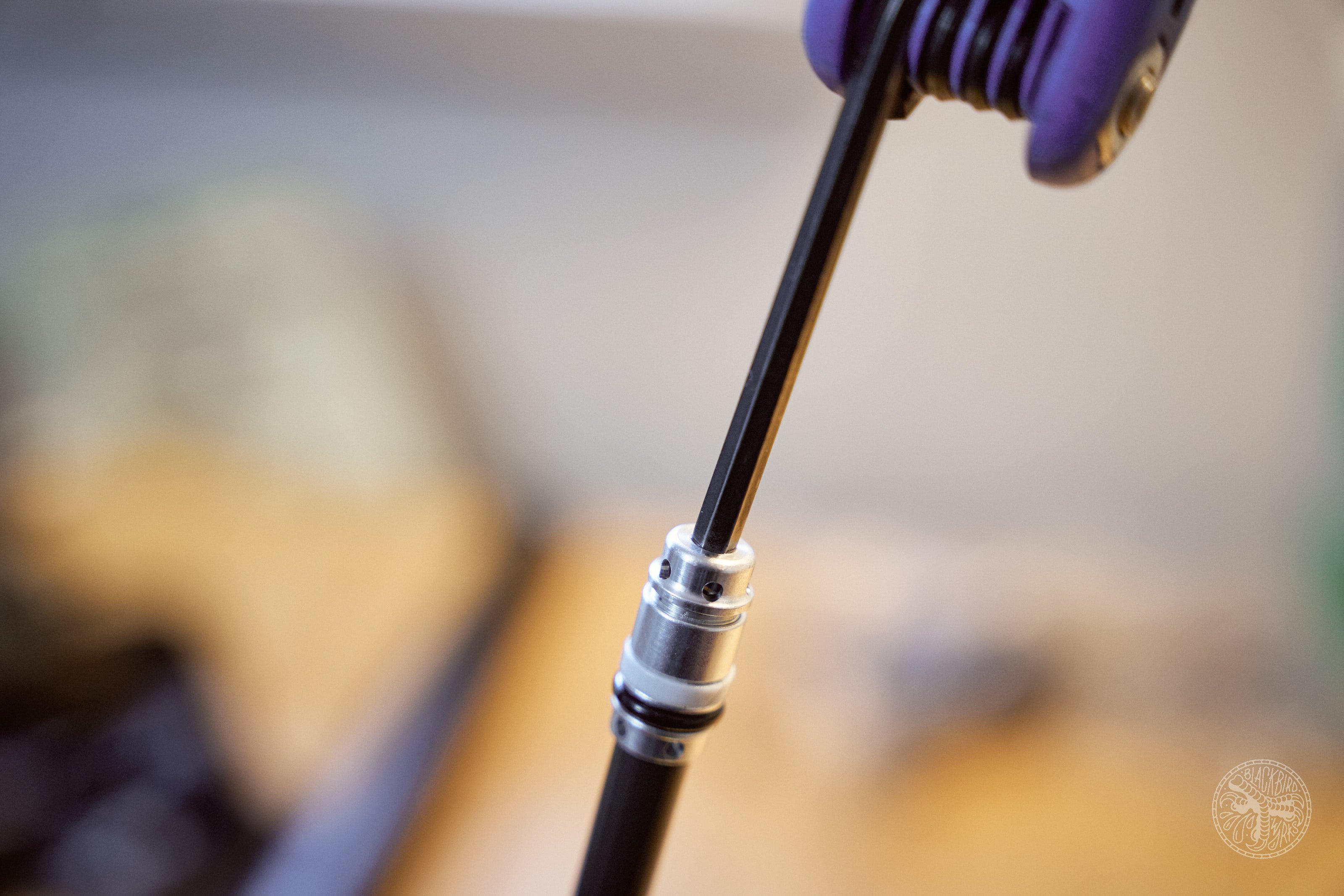 DSC03149-denizmerdano-oneupdropperteardown.jpg