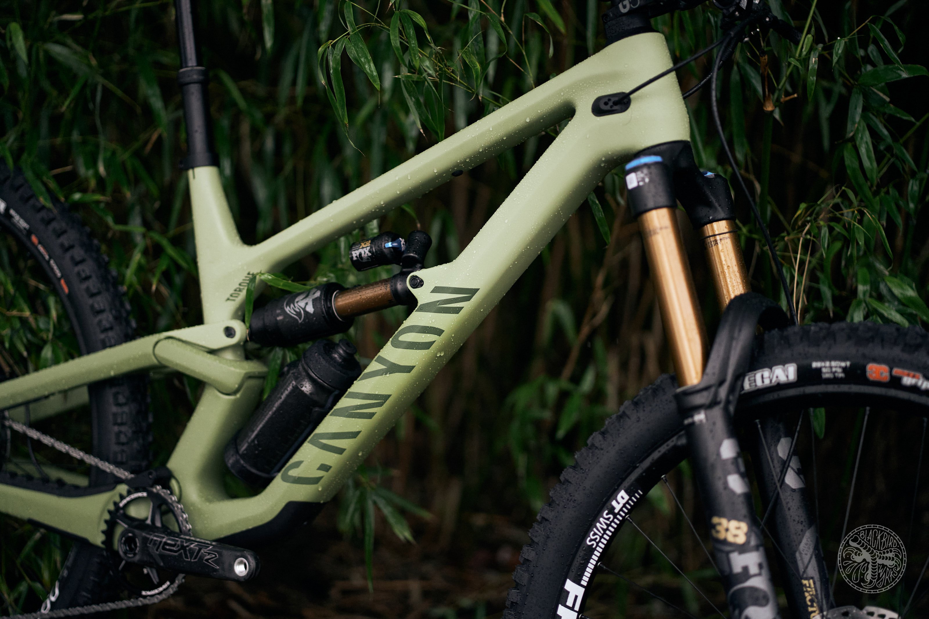 Canyon store torque frame