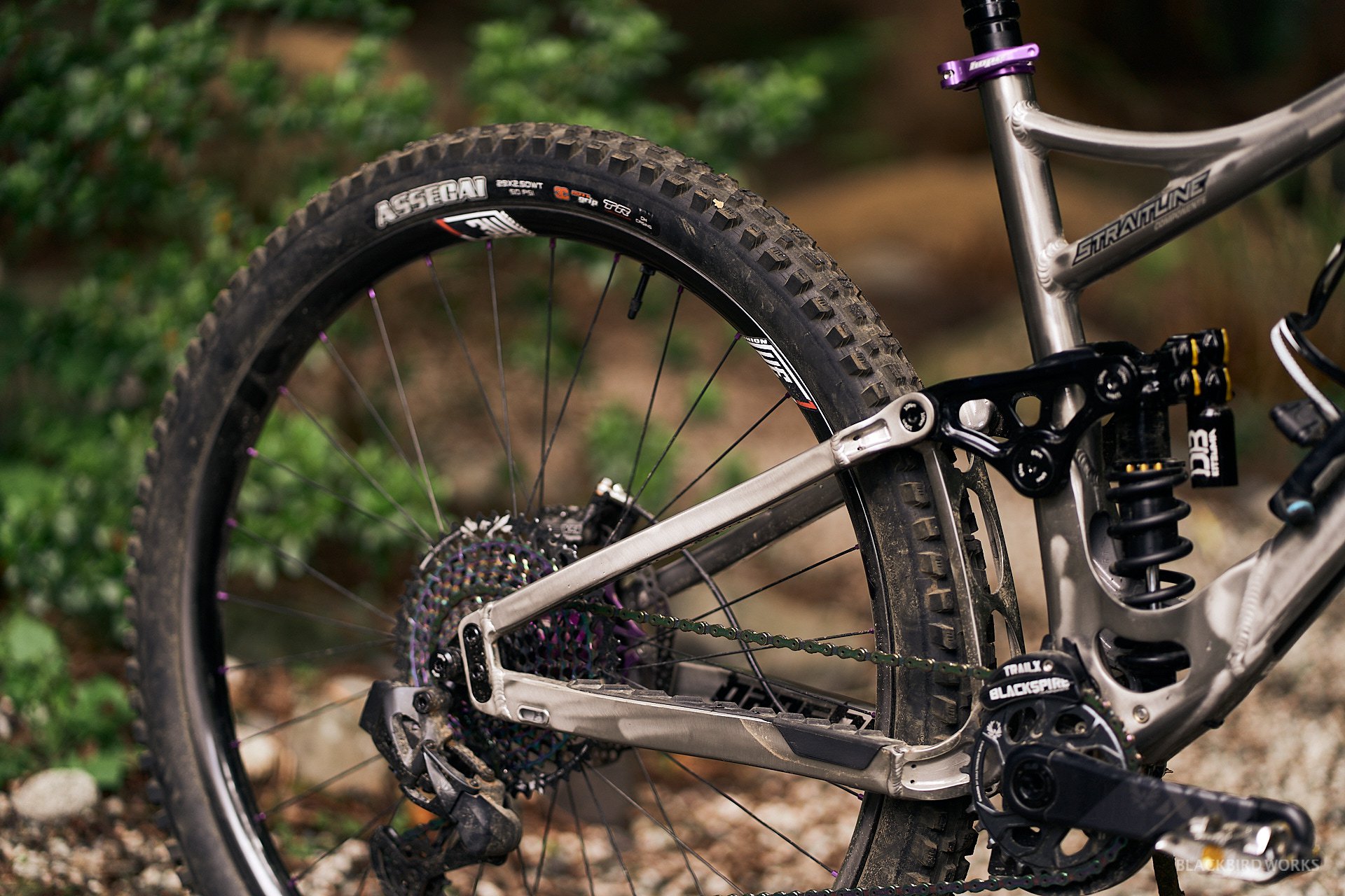 DSC03604-denizmerdano-dreambuilds-rachidnayel-bansheetitan-ridewrap.jpg