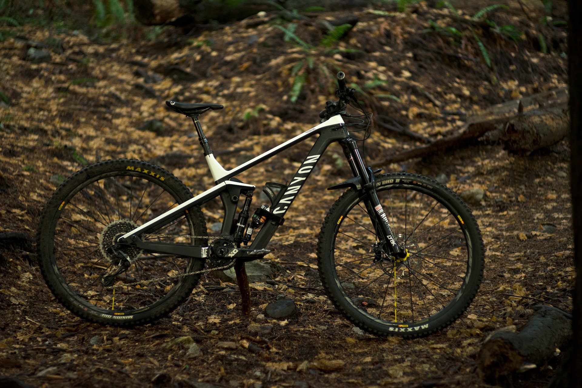 2019 Canyon Strive CFR 9.0 Team 29 Reviewed