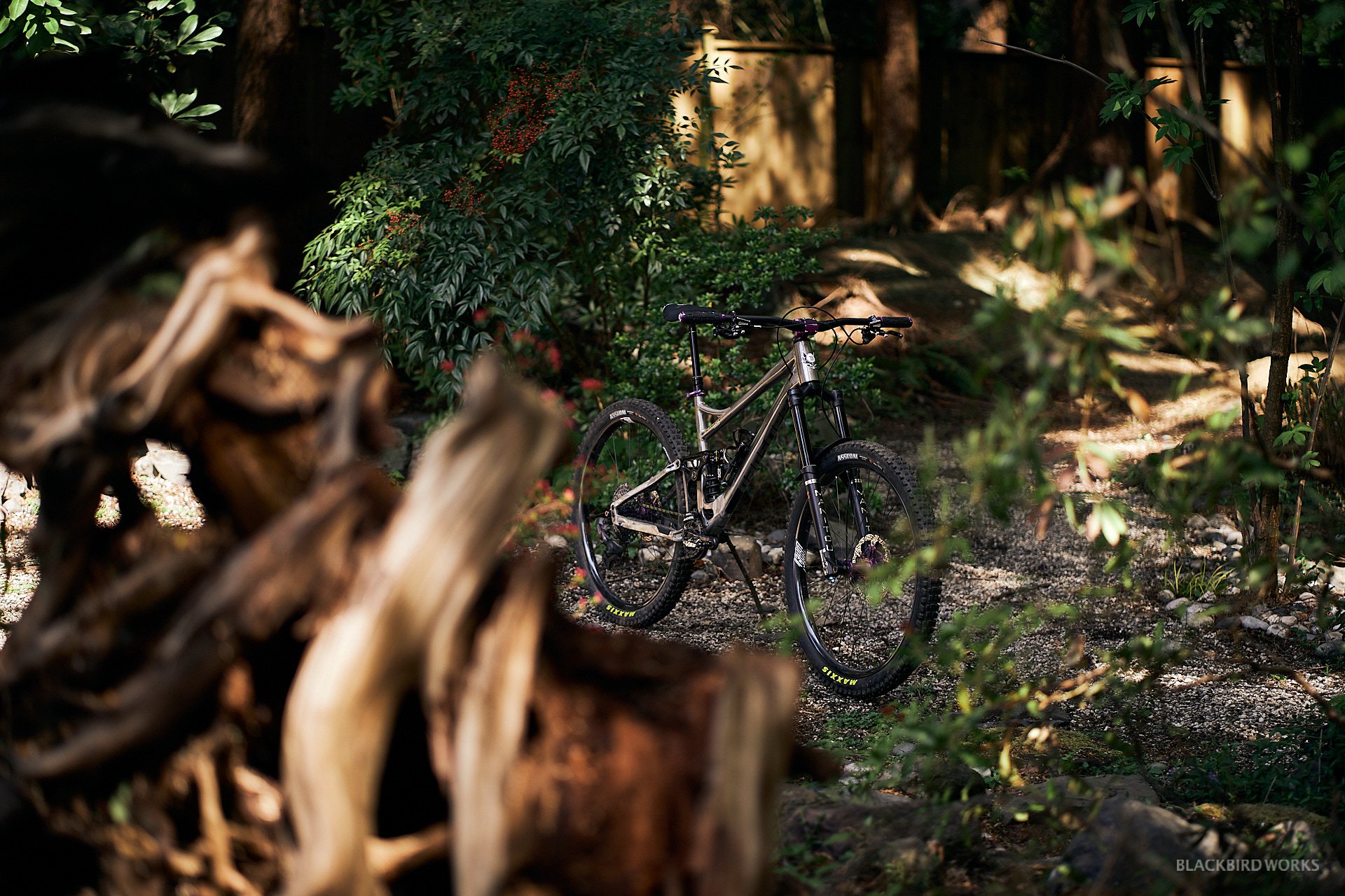 DSC03673-denizmerdano-dreambuilds-rachidnayel-bansheetitan-ridewrap.jpg