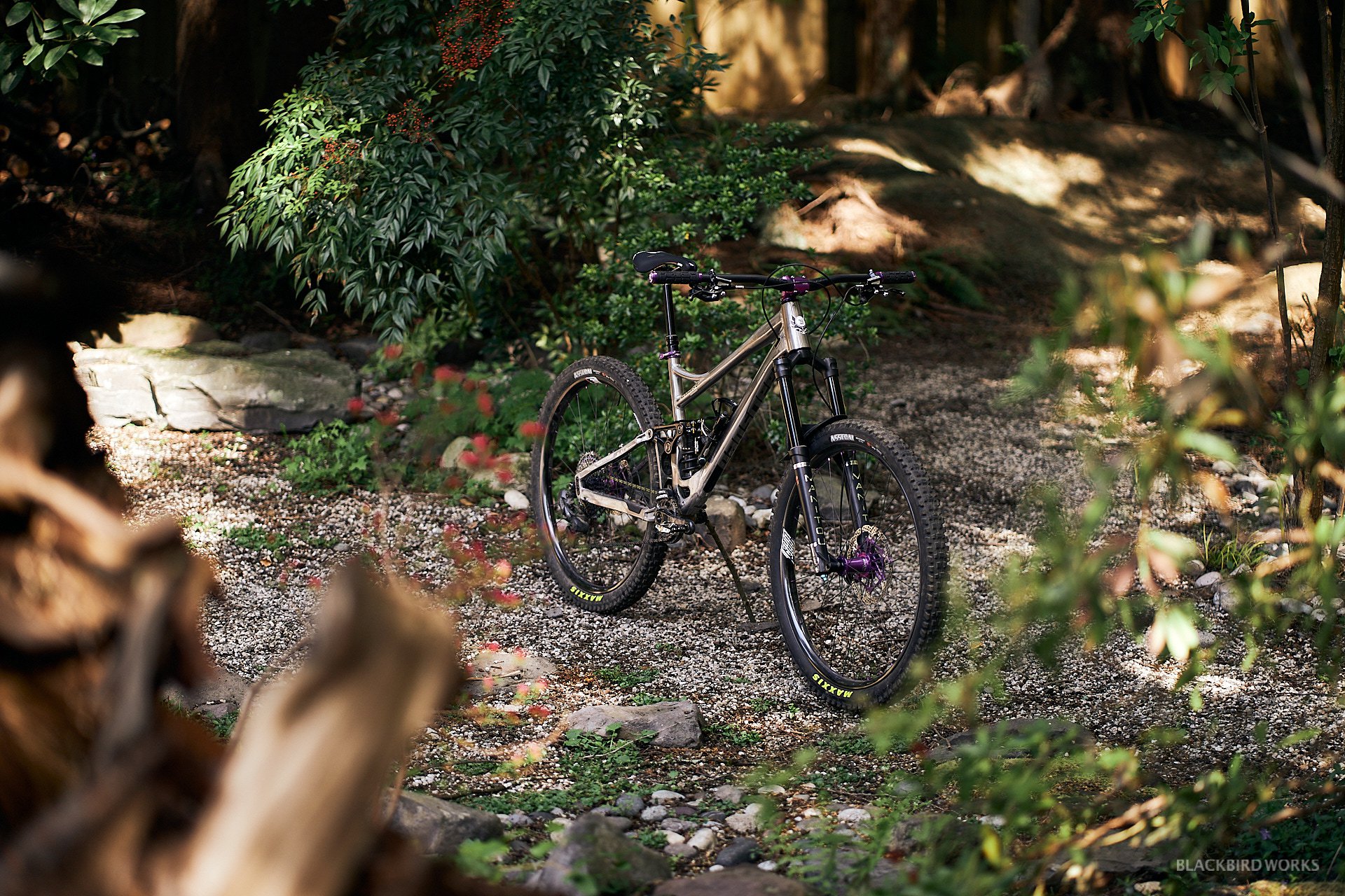 Dream terrain ladies sales bike