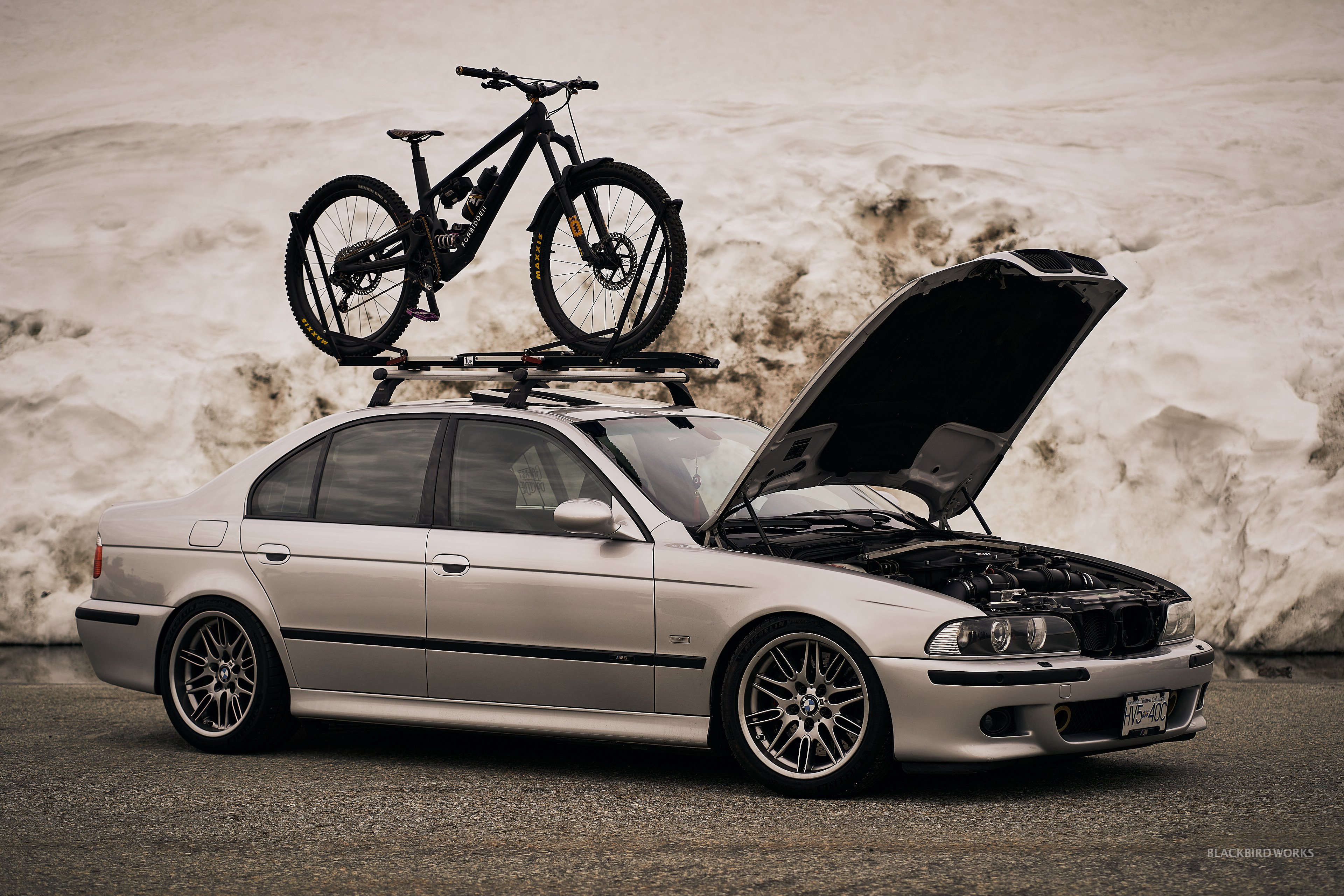 Bmw e39 bike rack new arrivals